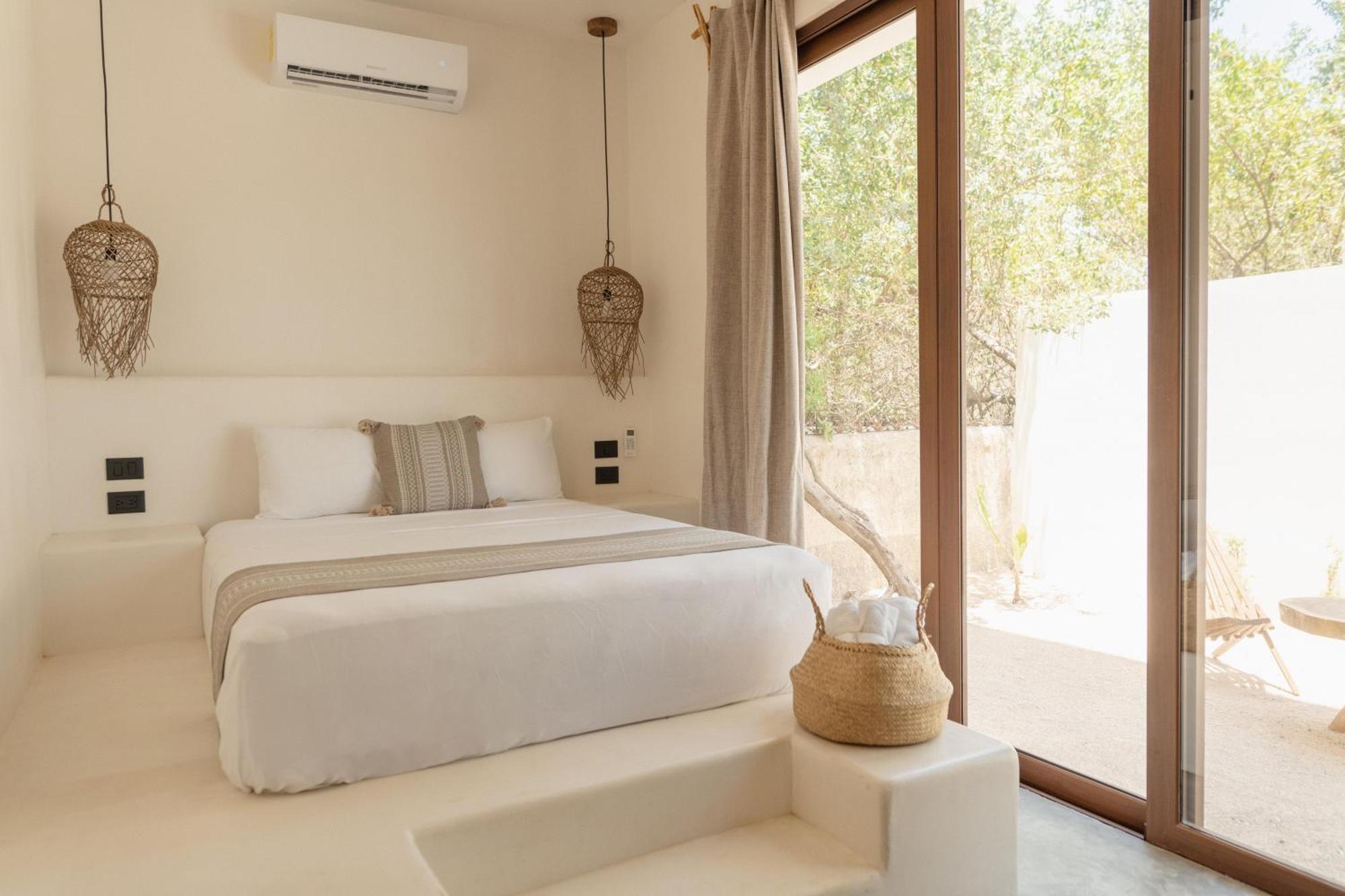Coccoloba Isla Holbox