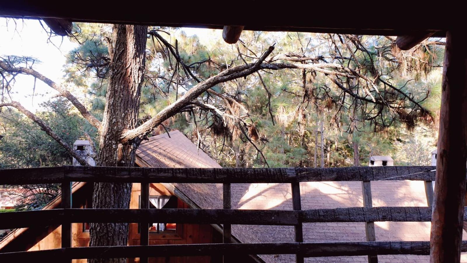 Sierra Paraiso Mazamitla