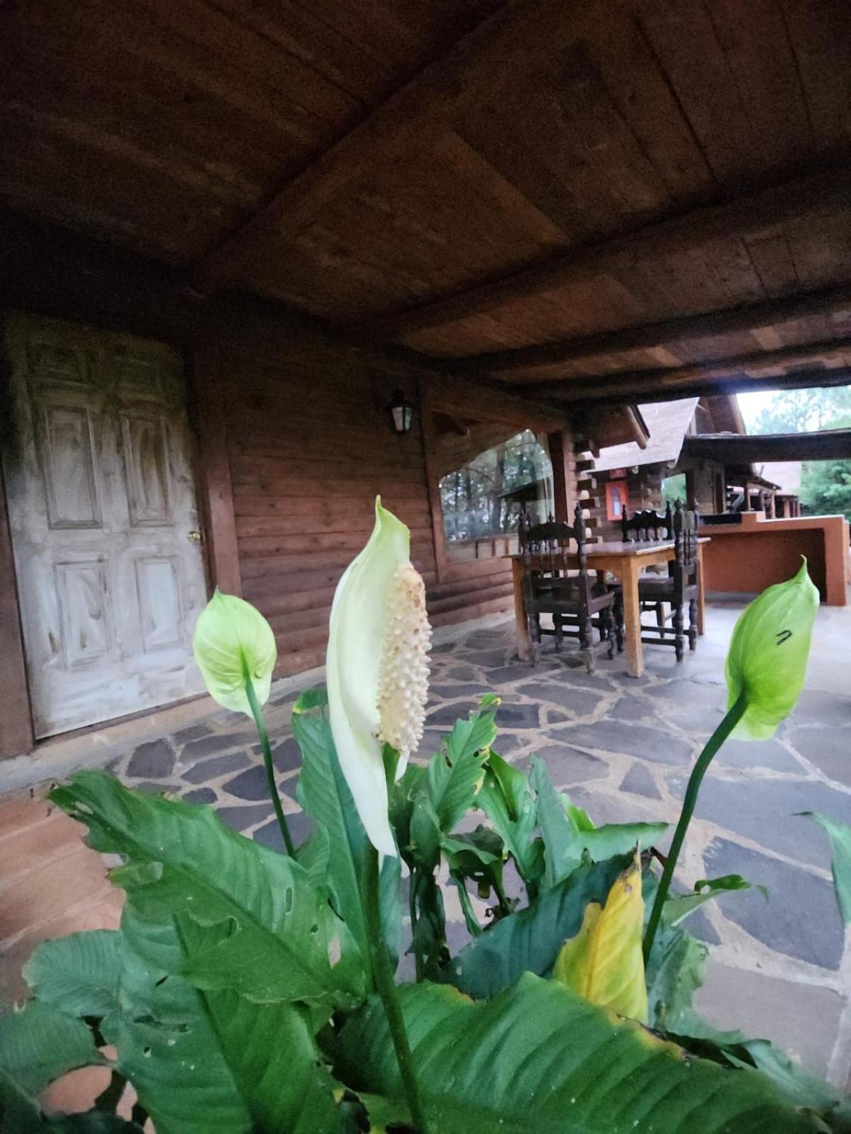 Sierra Paraiso * Mazamitla