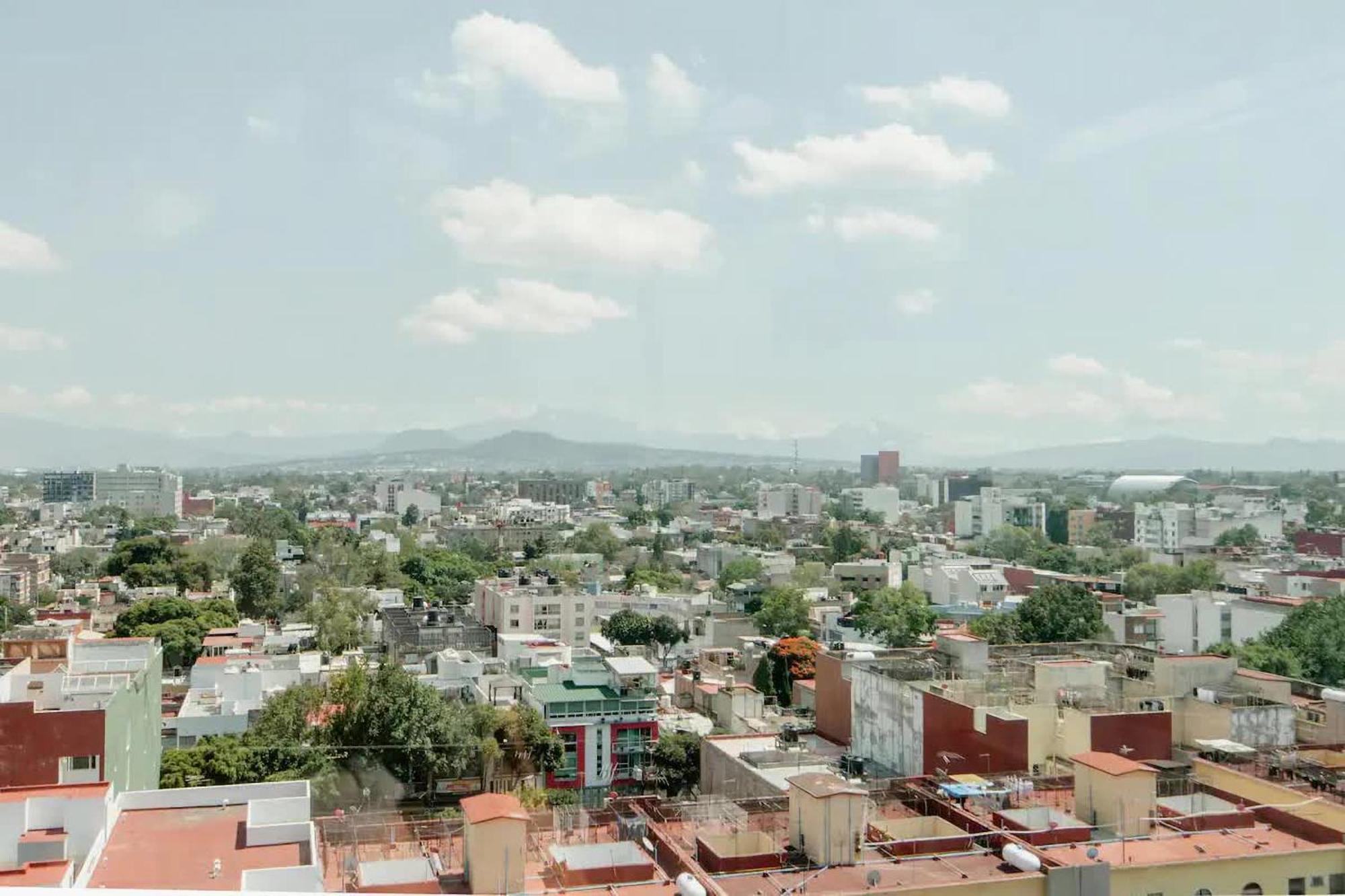 Apartment The Jungle Loft Tropical Comfort In A Centric Location With Kitchen Mexico City