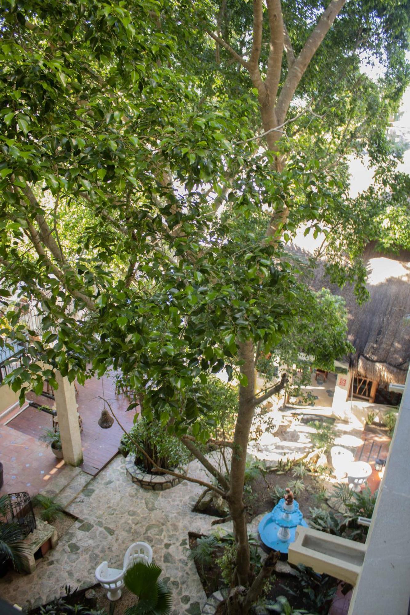 Hotel Nojoch Che Coba