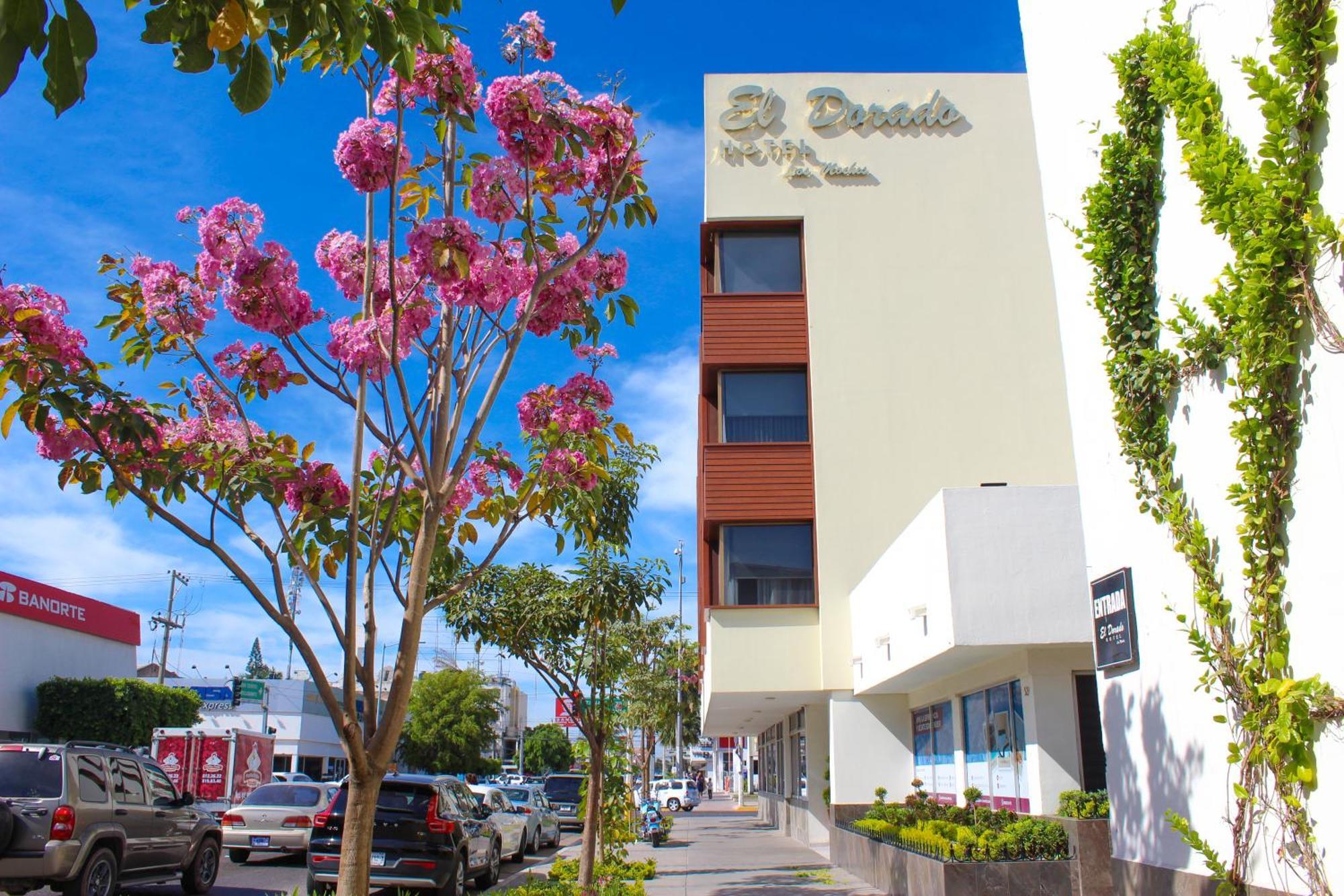 El Dorado Hotel Los Mochis