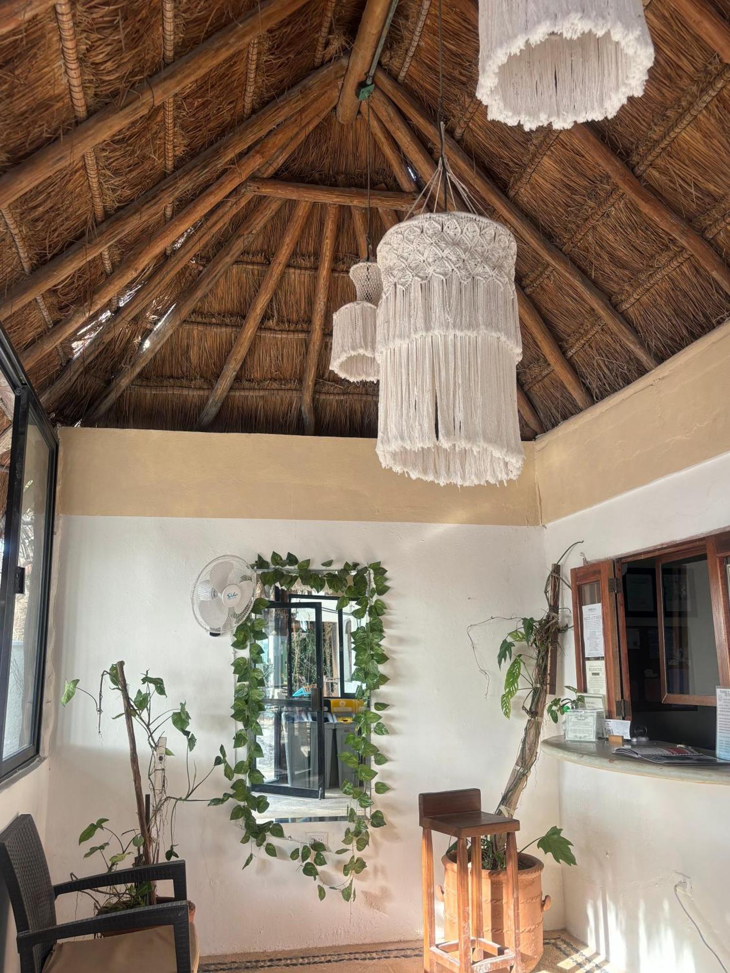 La Diosa Kali Front Hotel Isla Holbox