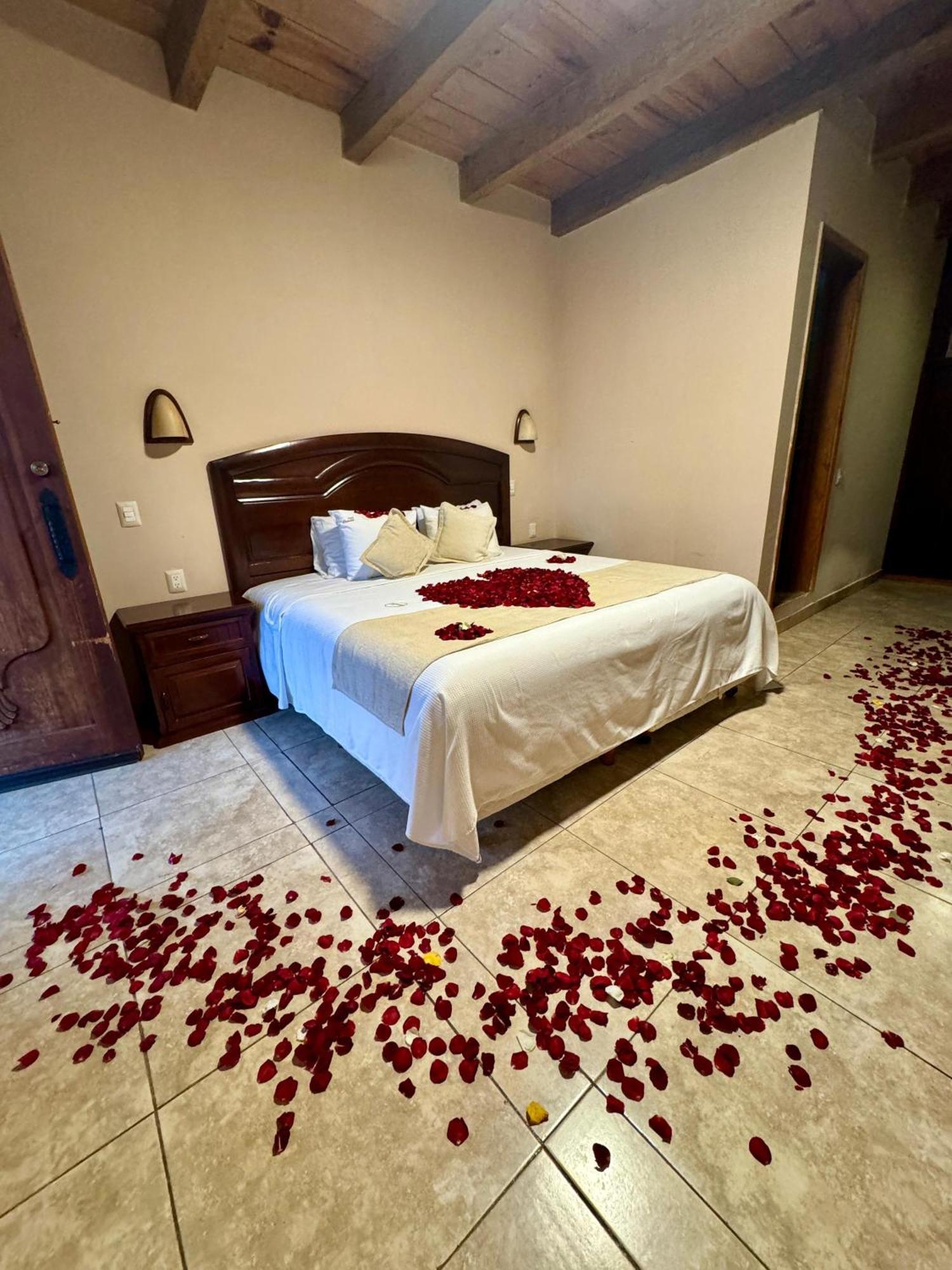 Margarita Hotel 4*