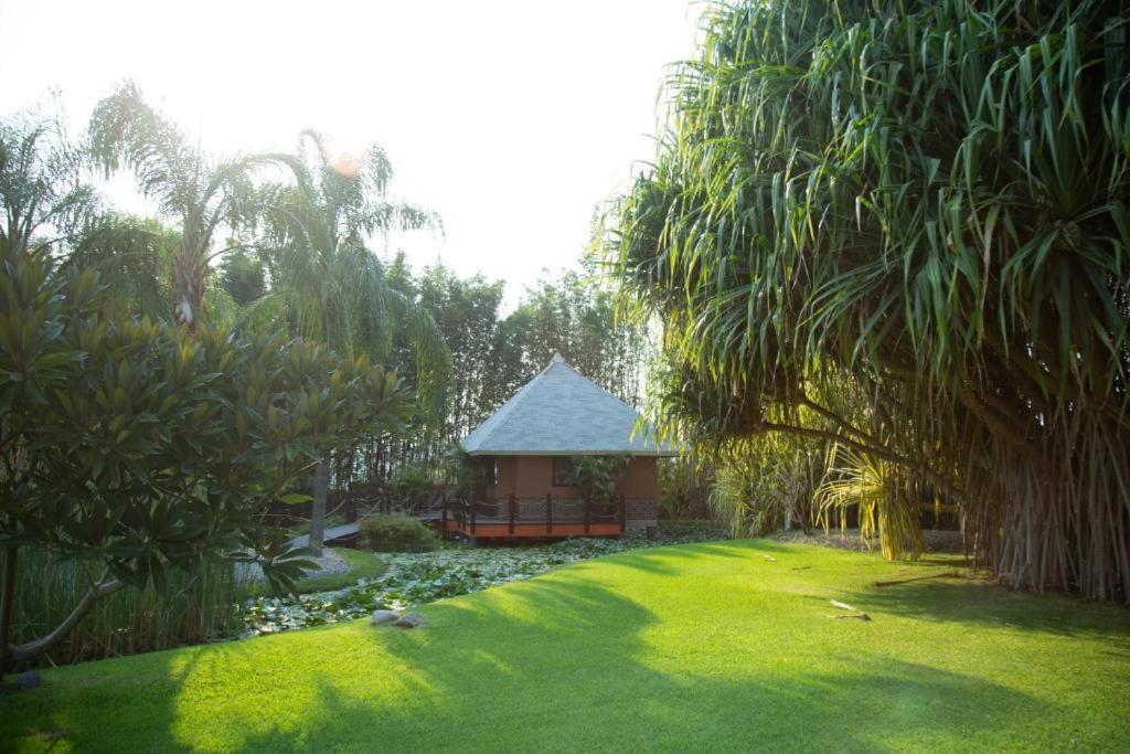 Hotel Soul Spring Sanctuary