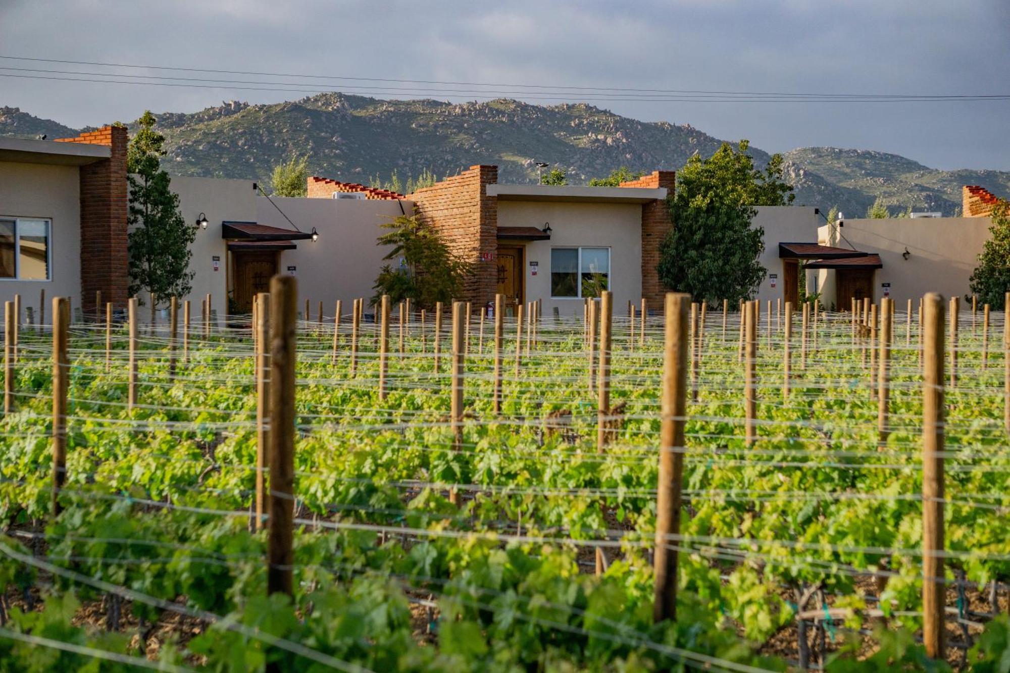 Hotel Ojo Azul Valle de Guadalupe