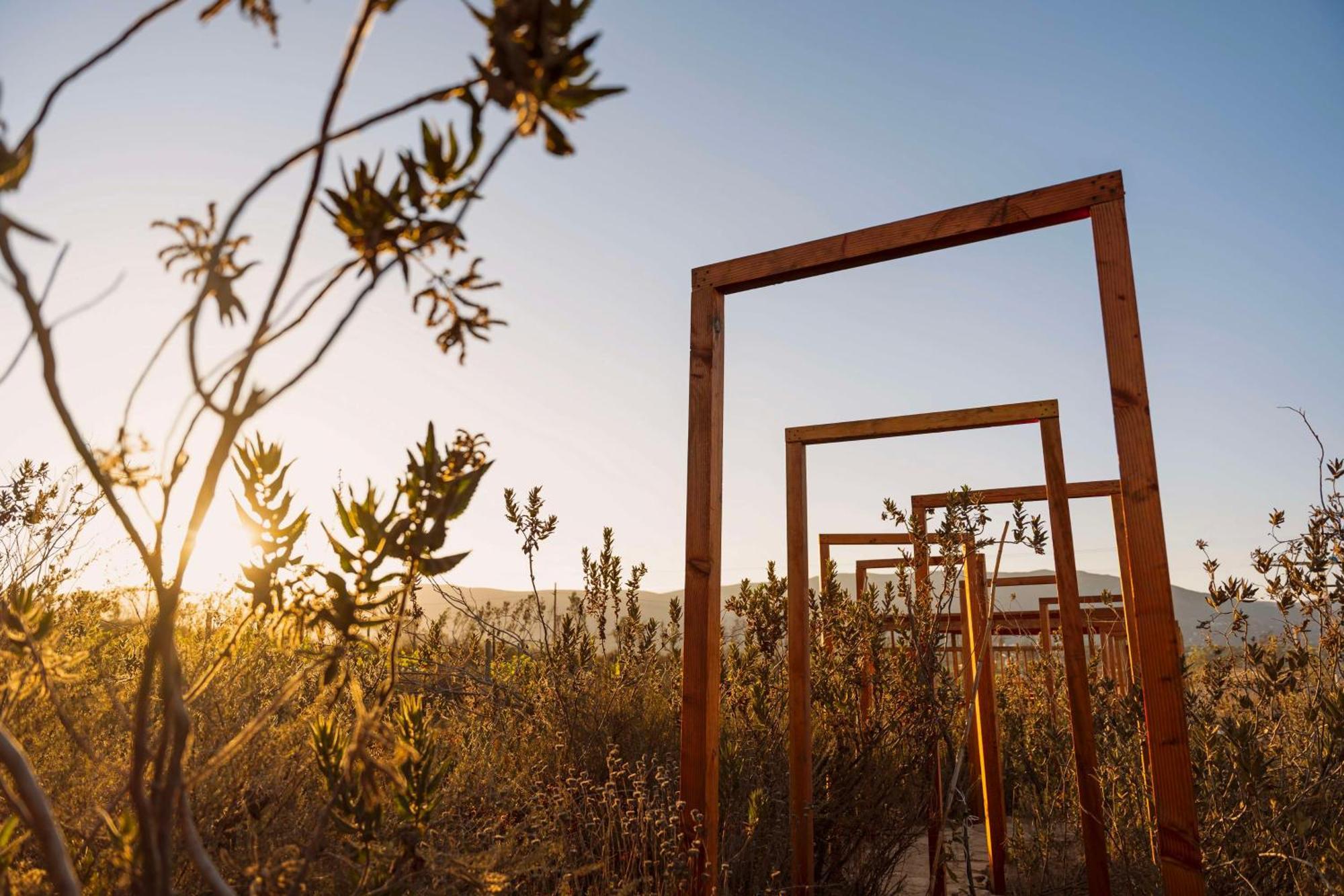 Banyan Tree Veya, Hotel Valle de Guadalupe