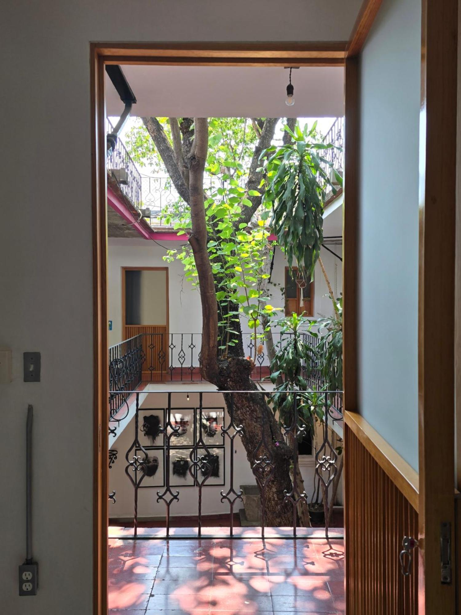 Agrado 4* Oaxaca