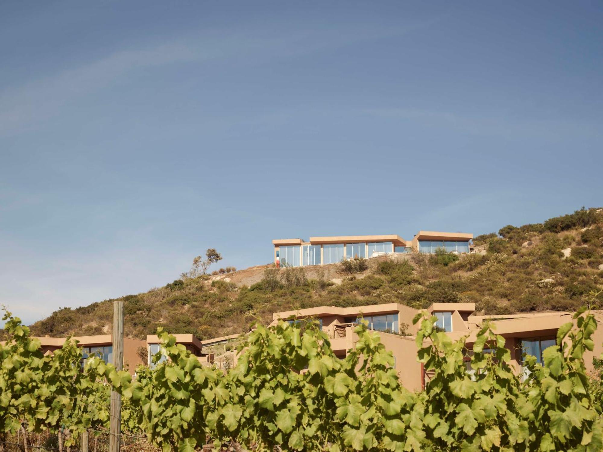 Banyan Tree Veya, Valle de Guadalupe