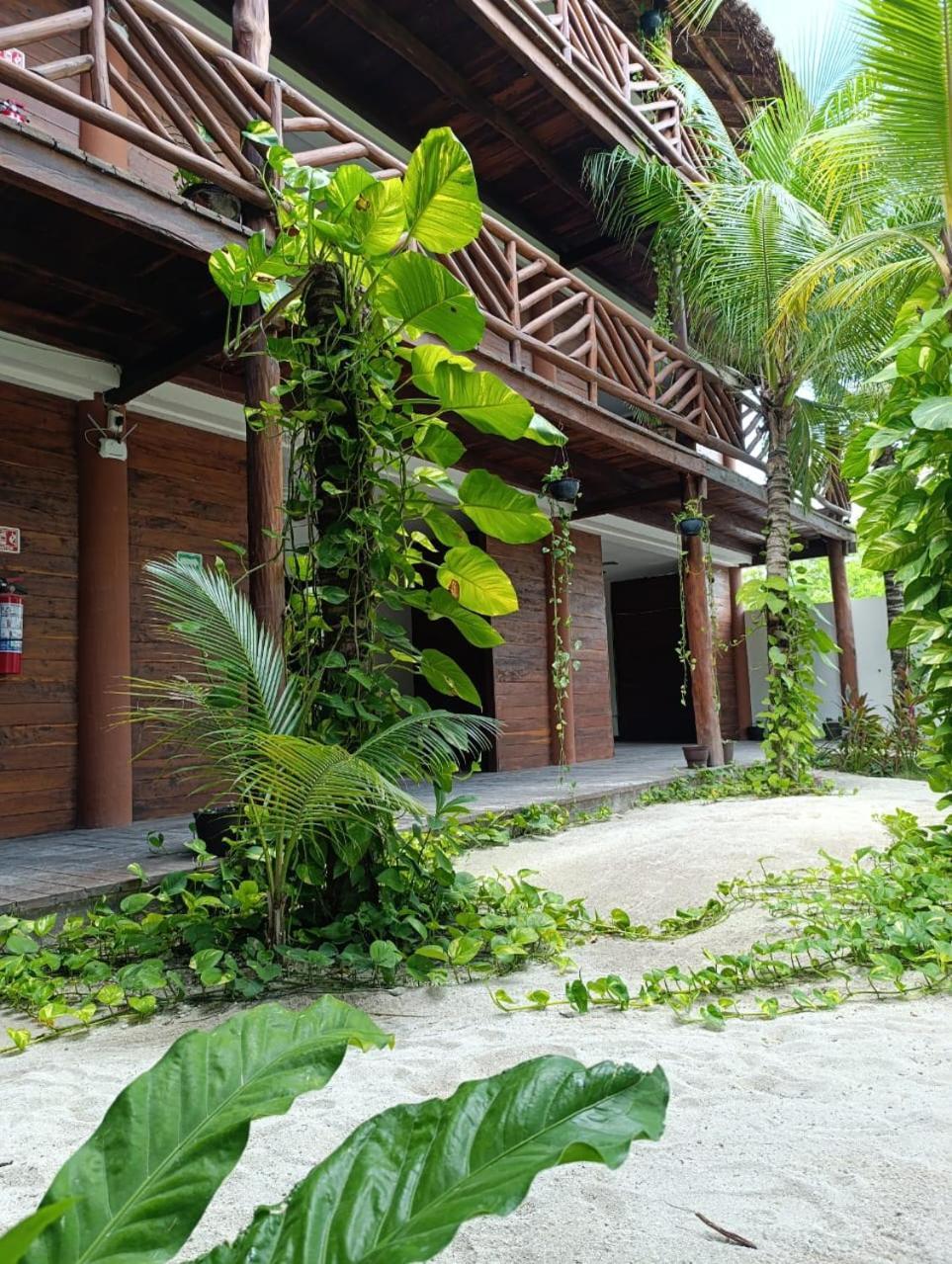 Apartment Secret Paradise