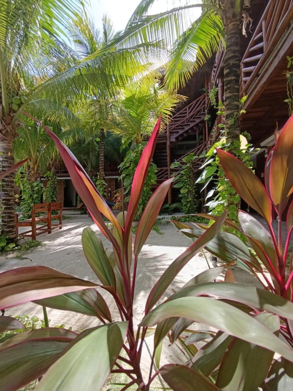 Secret Paradise * Mahahual