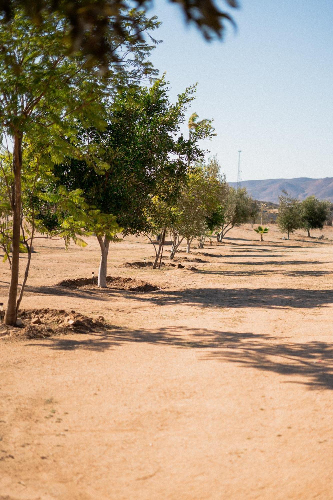 Villa Victoria, Valle de Guadalupe