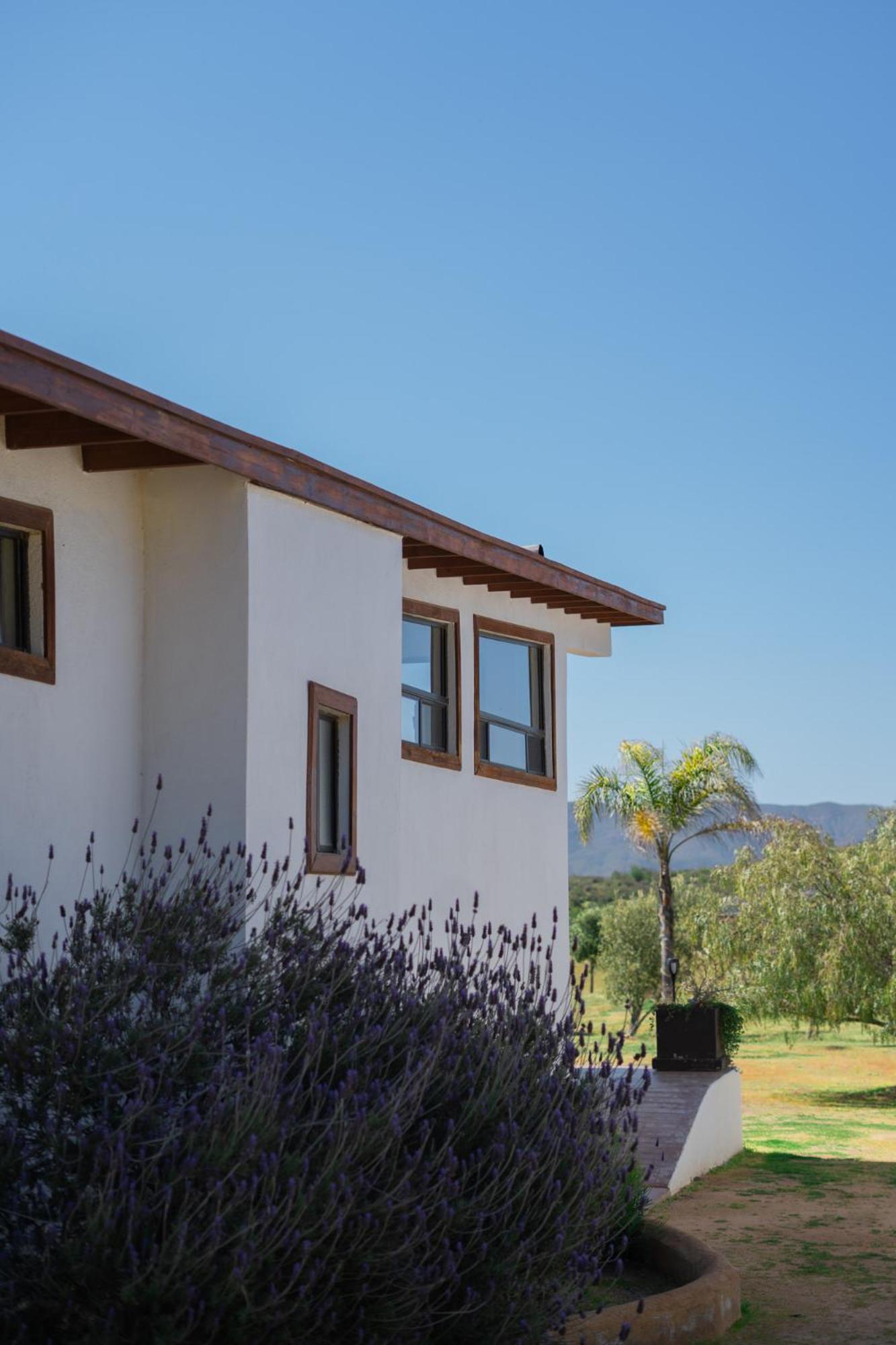 Victoria, * Valle de Guadalupe