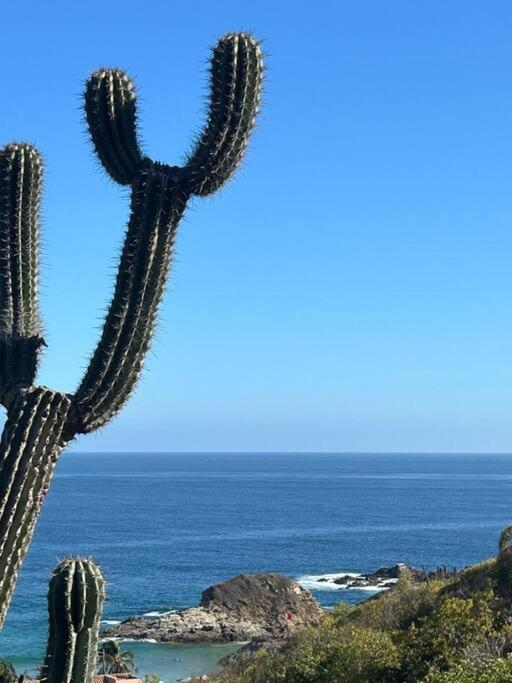 Alegria - Ocean View - 2 Master Holiday home San Agustinillo