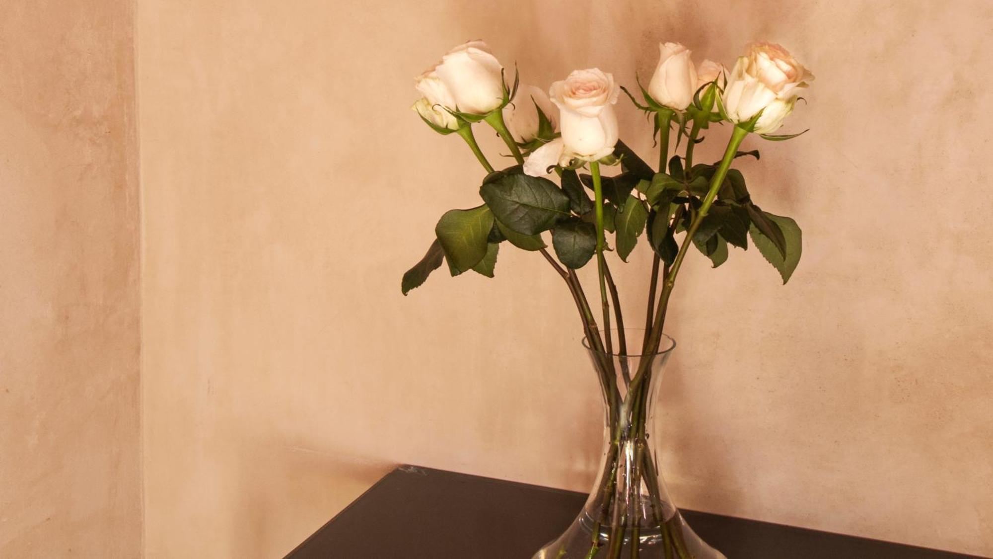 Rosas & Xocolate Boutique And Merida, A Member Of Design Hotel