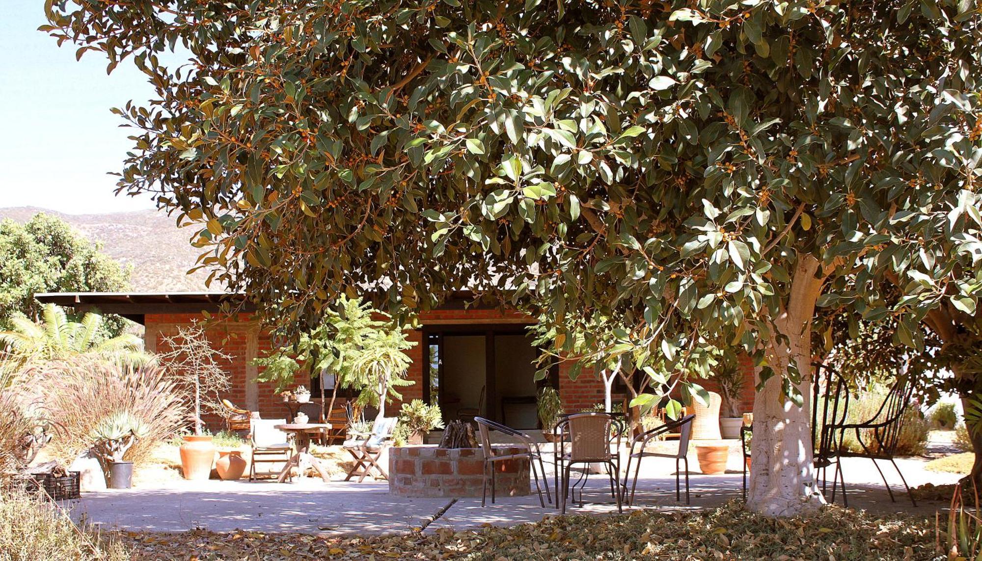 Campsite Orquideas *