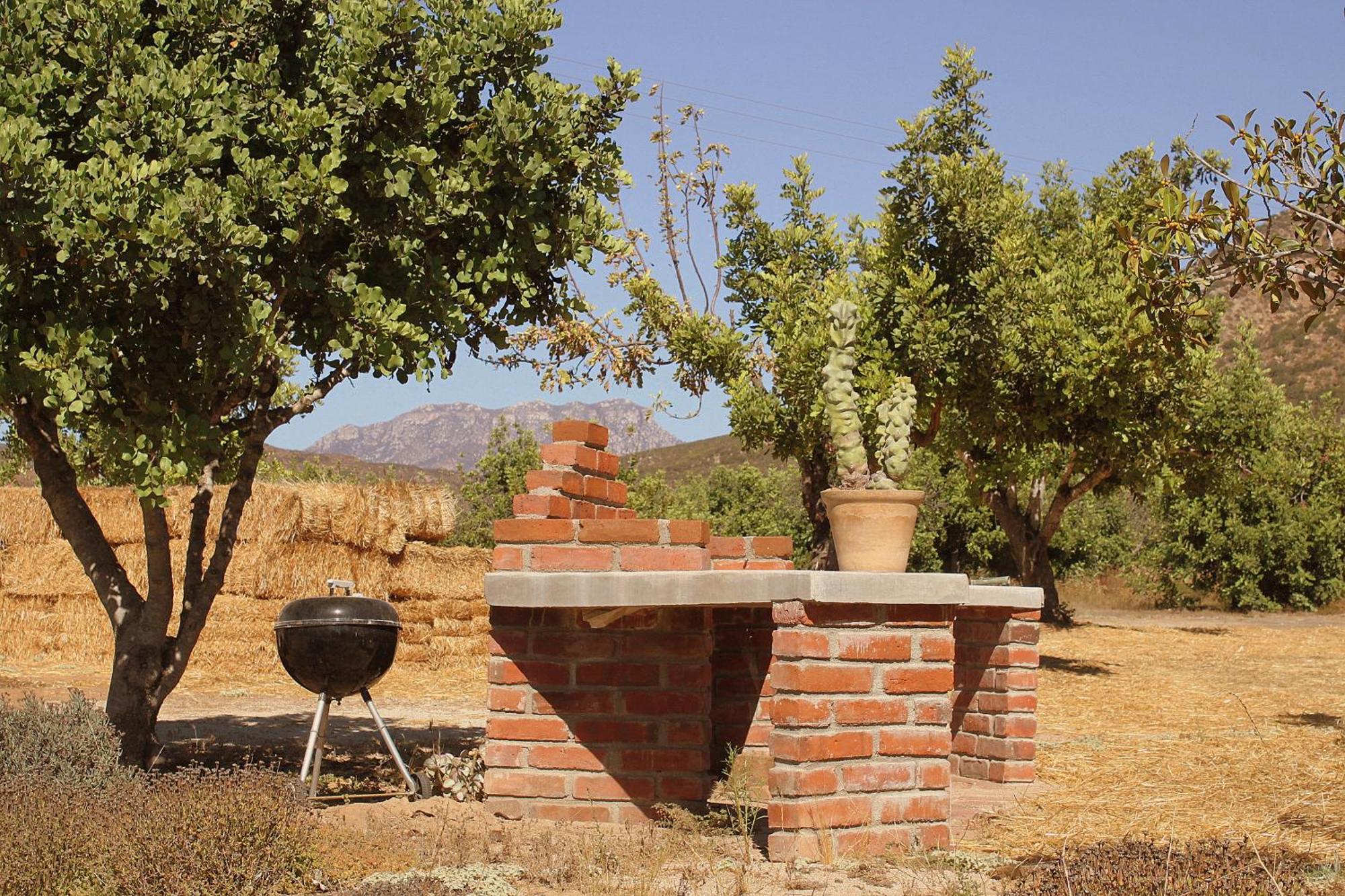 Orquideas * Valle de Guadalupe