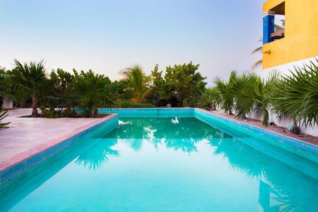 Inn Tropical With Pool