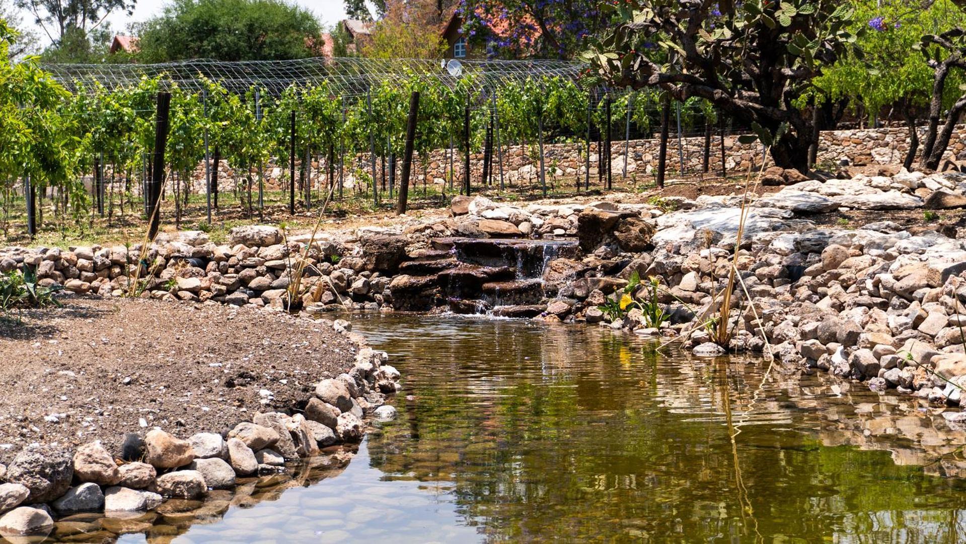 Bodegas Vaiven Boutique Resort *