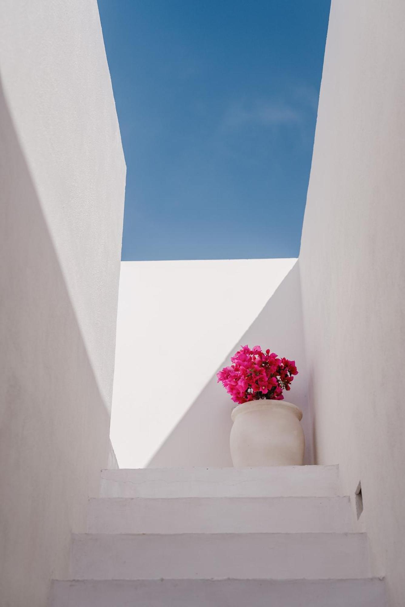 Hotel Casablancomadera Todos Santos
