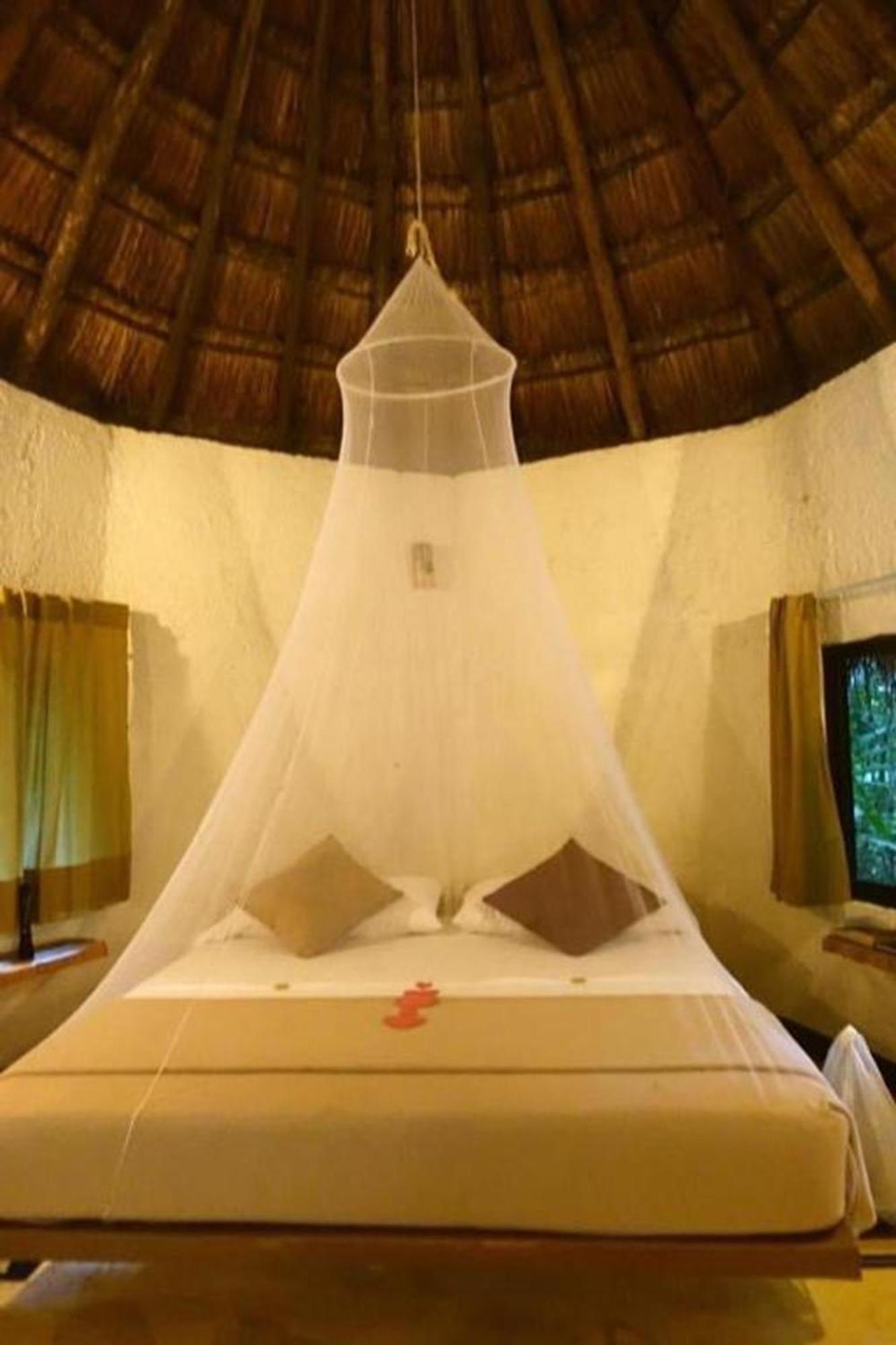 Jolie Jungle Eco (adults Only)
