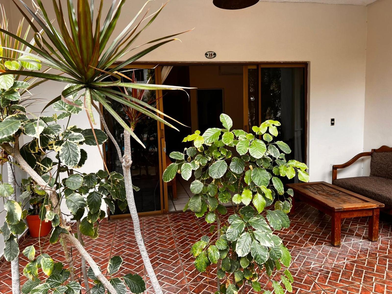 Palmeras 3* Bucerias