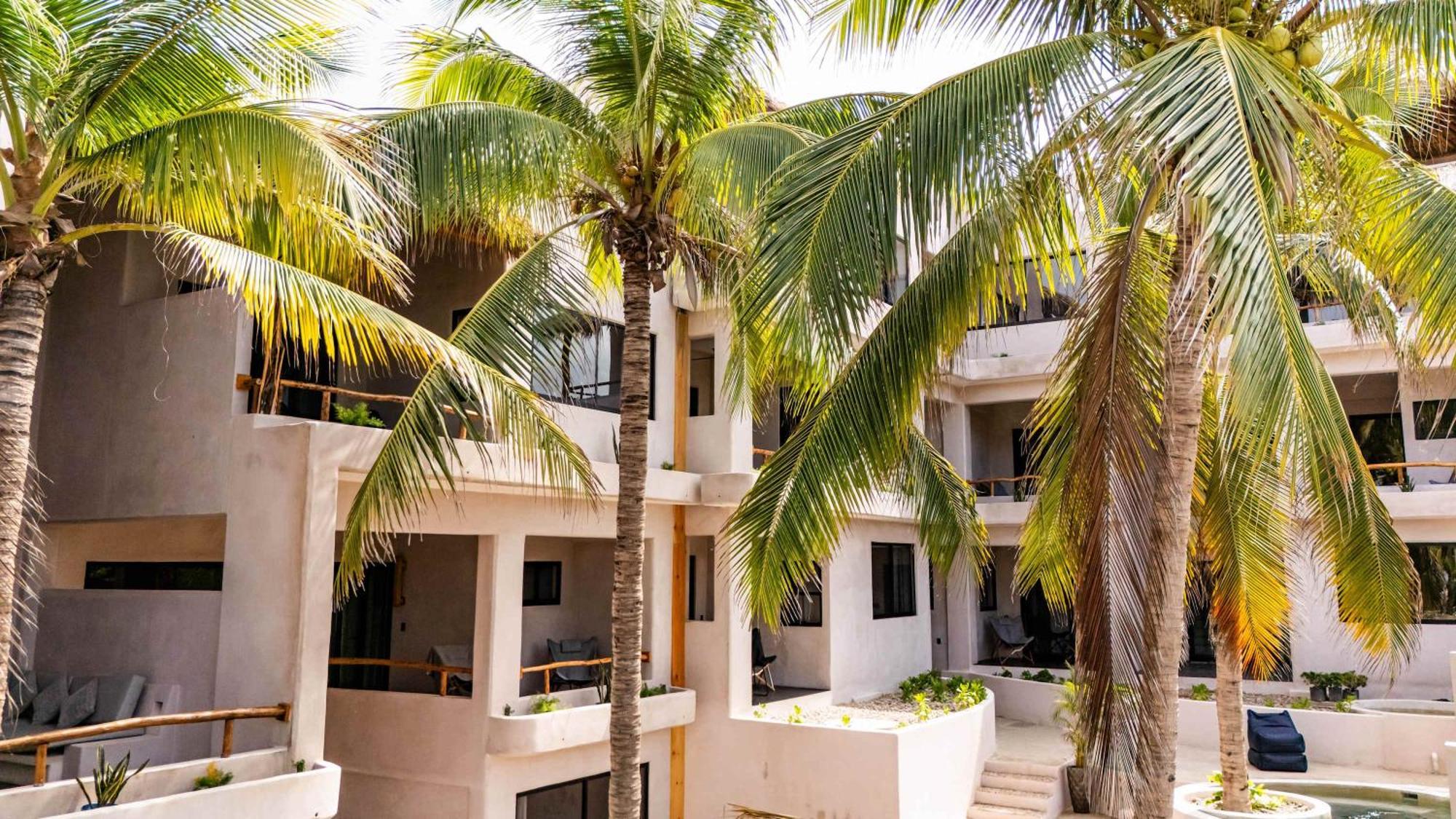 Apartment Casa Leah Puerto Escondido - Seaside Oasis In Zicatela - 2 Outdoor Pools - Steps 2 The - Ac For Comfort - 6 *