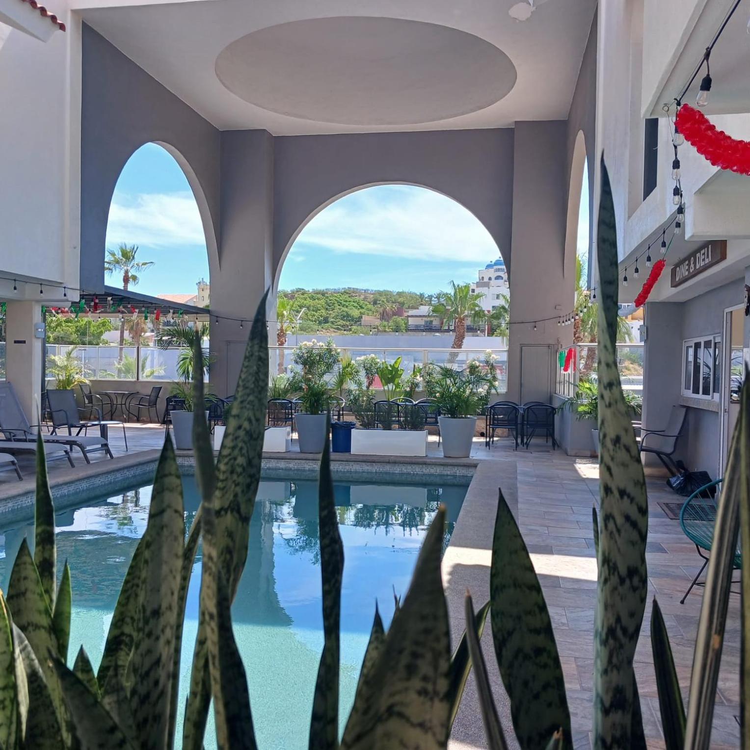 Palmas San Jose del Cabo