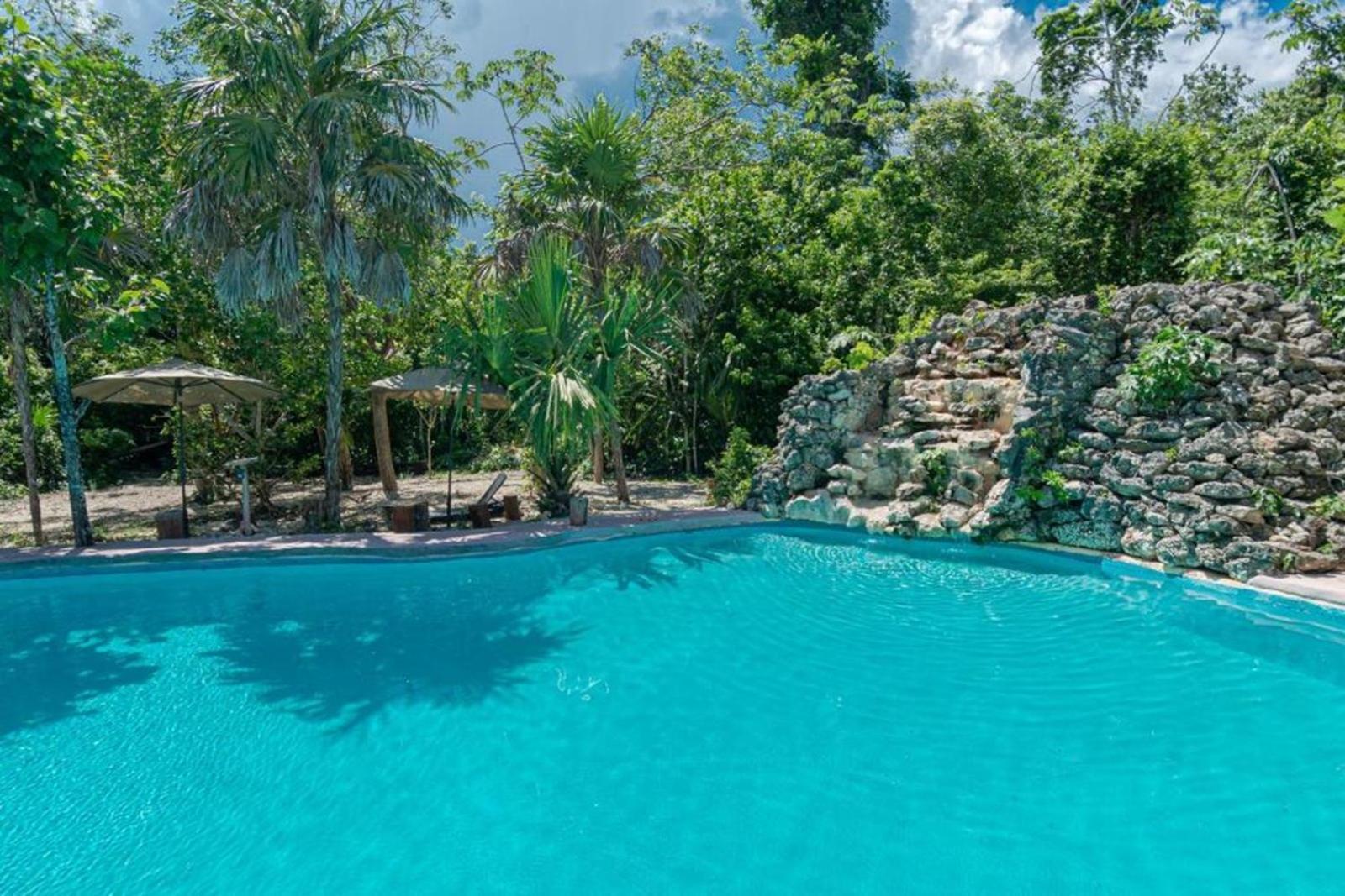 Jolie Jungle Eco (adults Only) 3* Leona Vicario