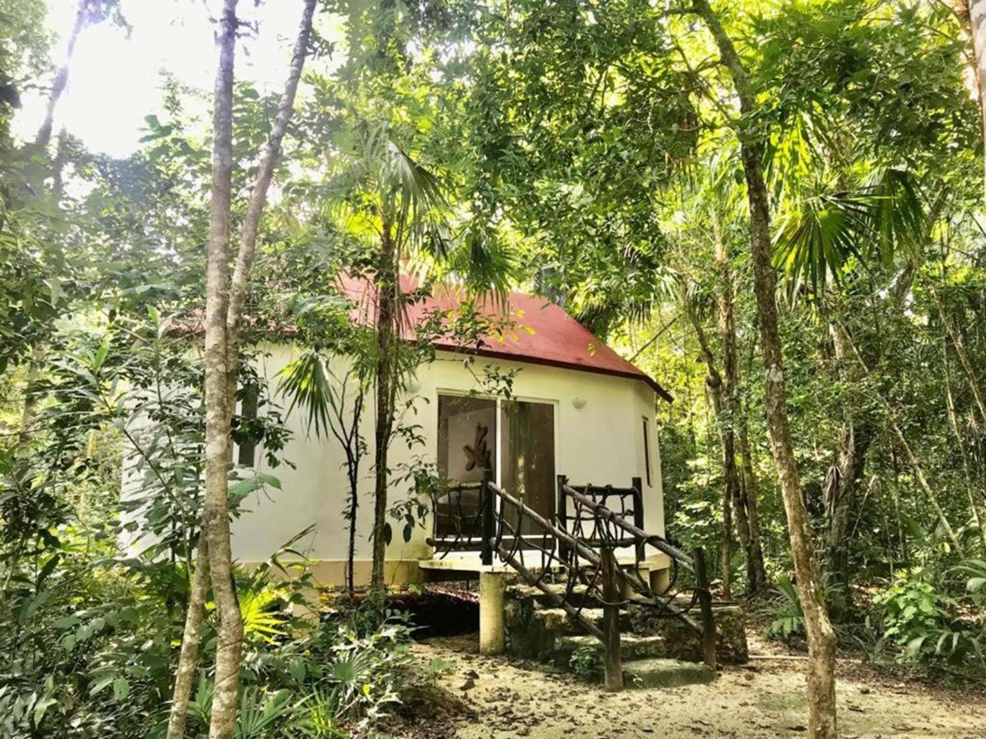 Hotel Jolie Jungle Eco (adults Only) Leona Vicario
