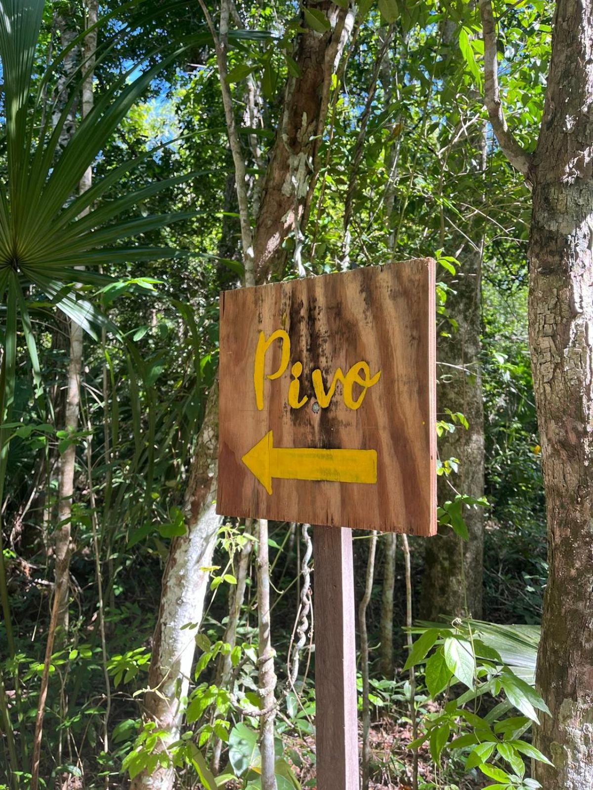 Jolie Jungle Eco (adults Only) 3* Leona Vicario
