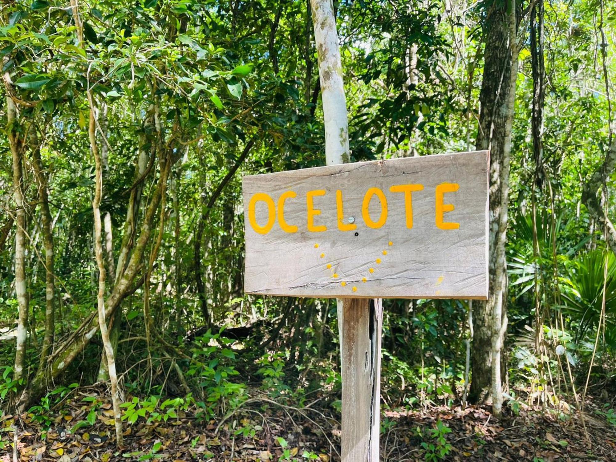 Hotel Jolie Jungle Eco (adults Only) 3*