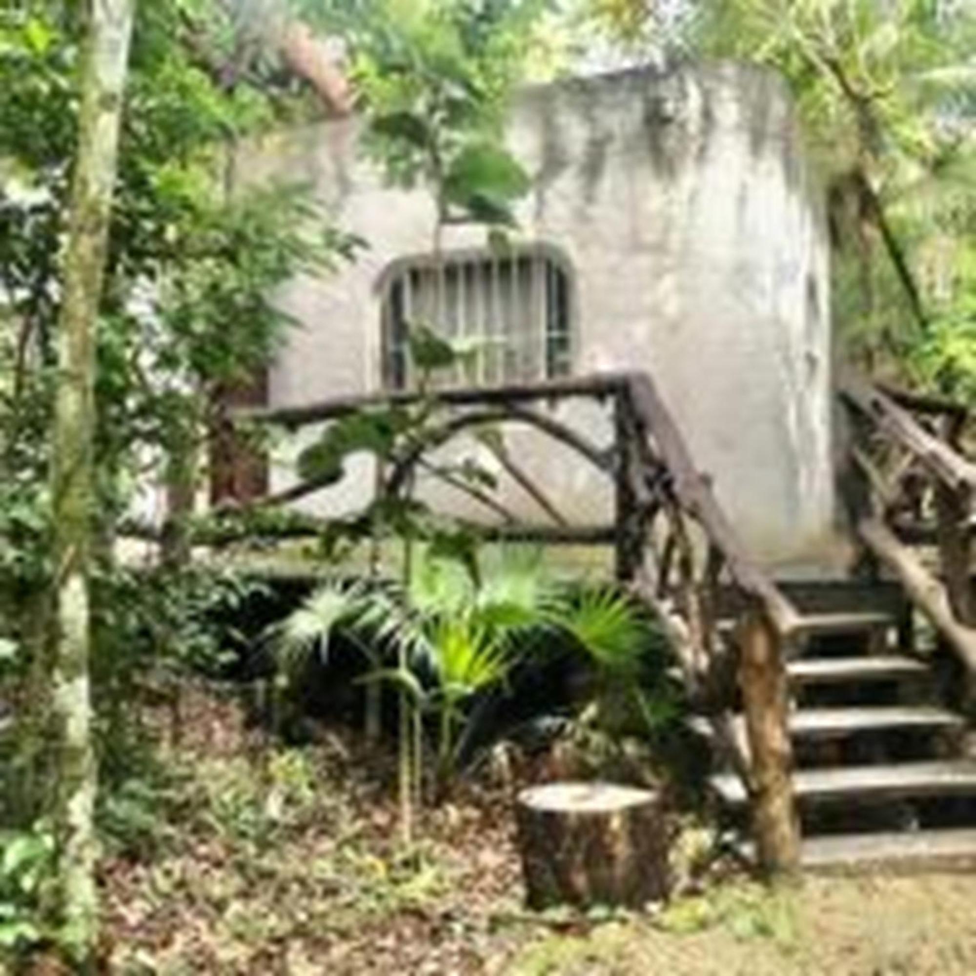 Jolie Jungle Eco (adults Only) 3* Leona Vicario