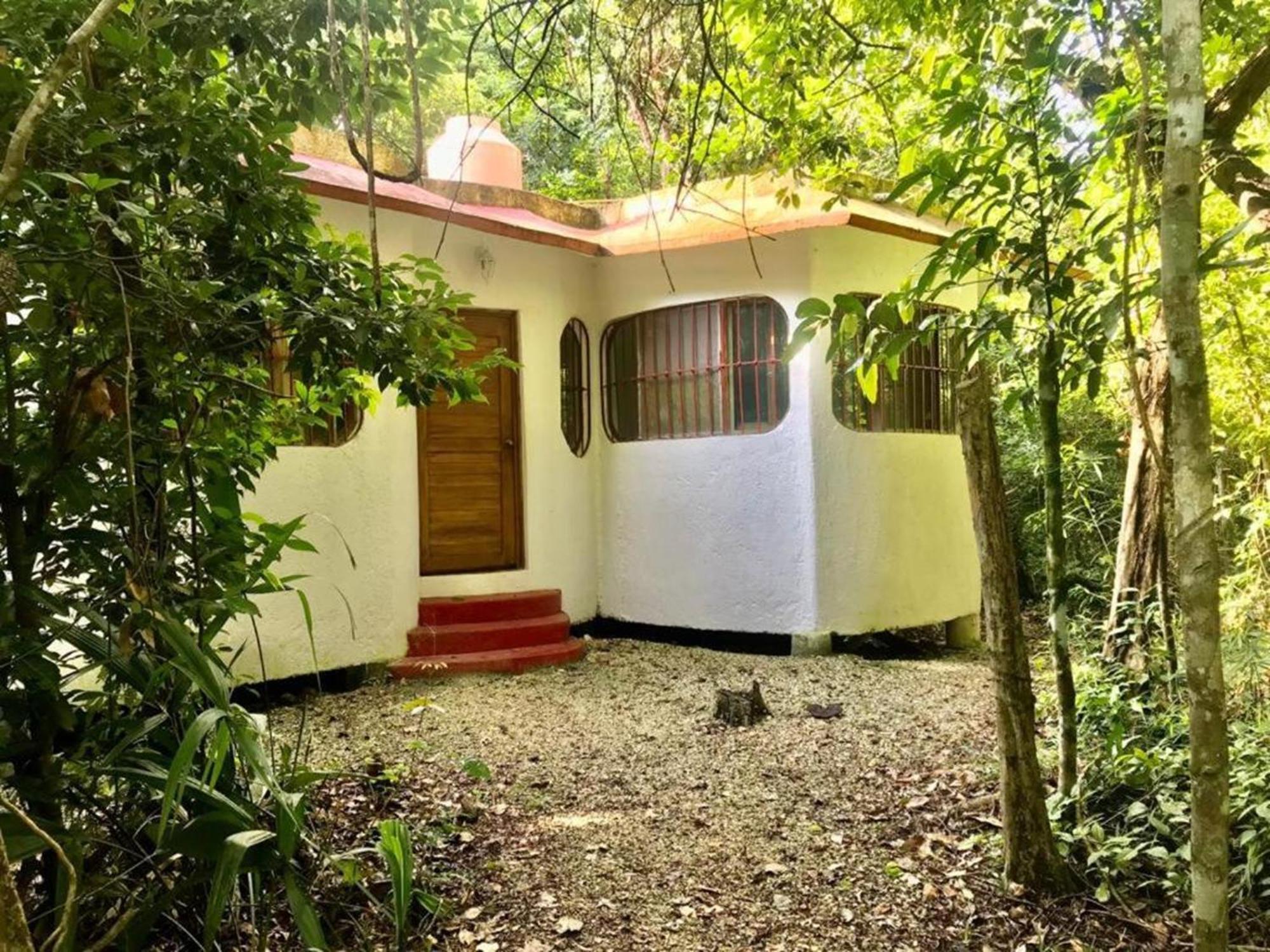Jolie Jungle Eco (adults Only)