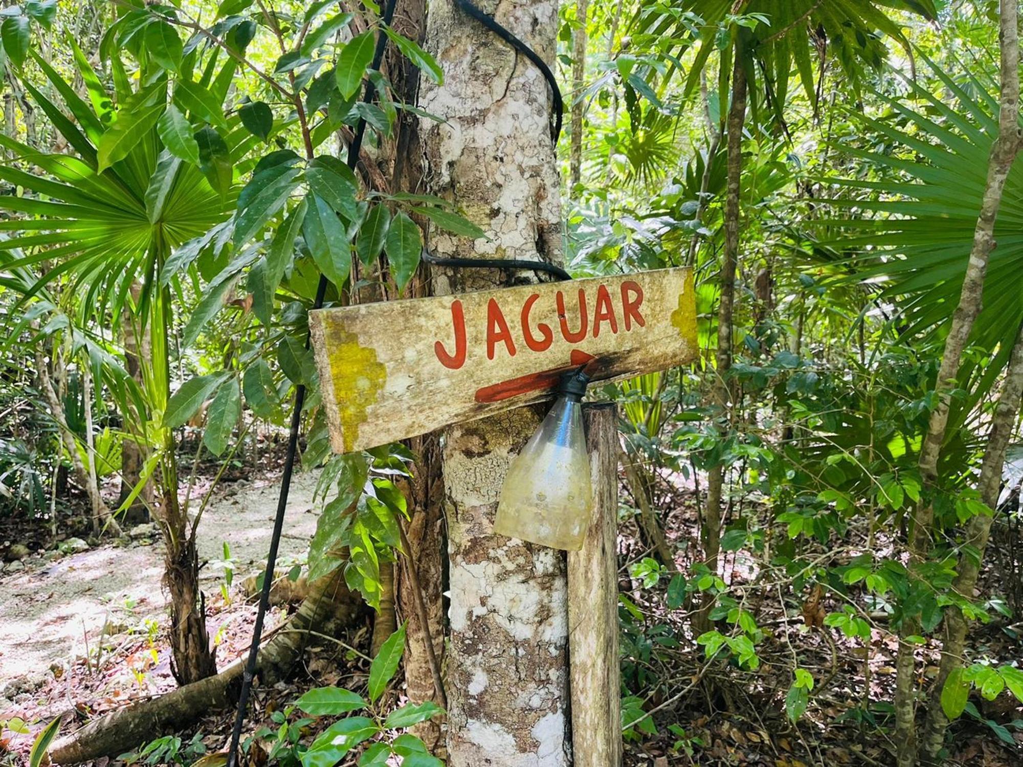Hotel Jolie Jungle Eco (adults Only) 3*