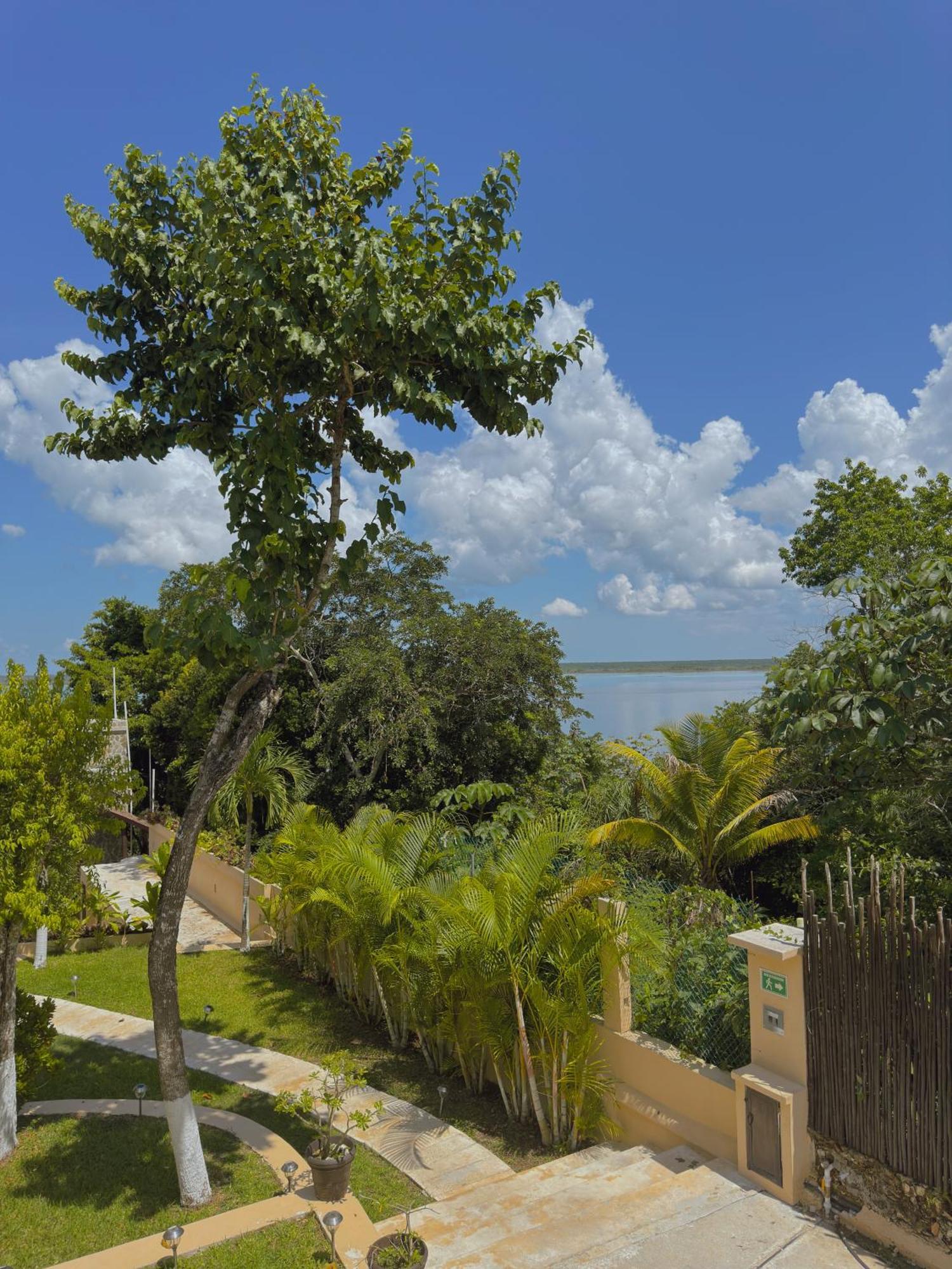 Mandarina * Bacalar