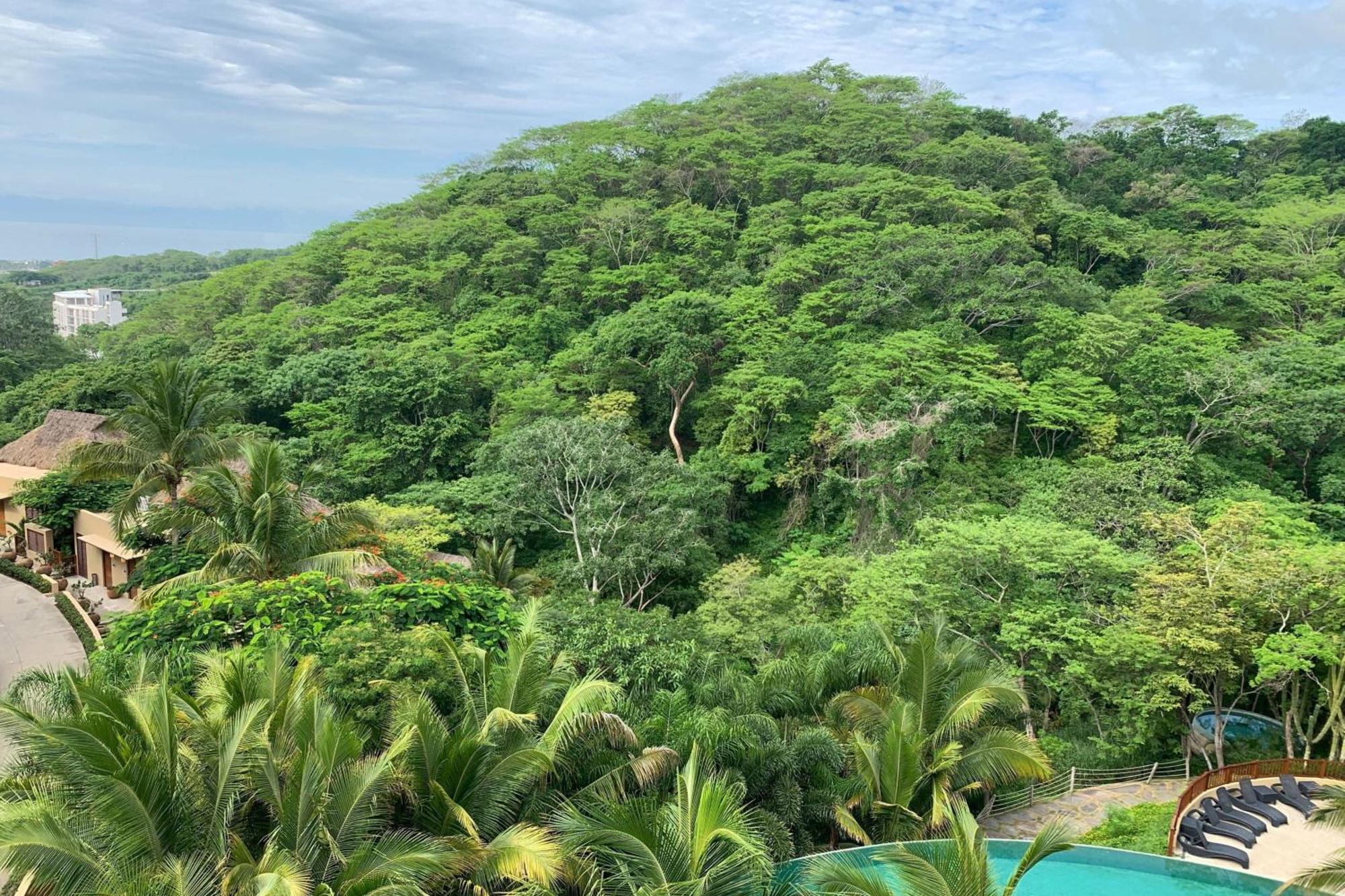 Resort Delta By Marriott Riviera Nayarit, An 5*