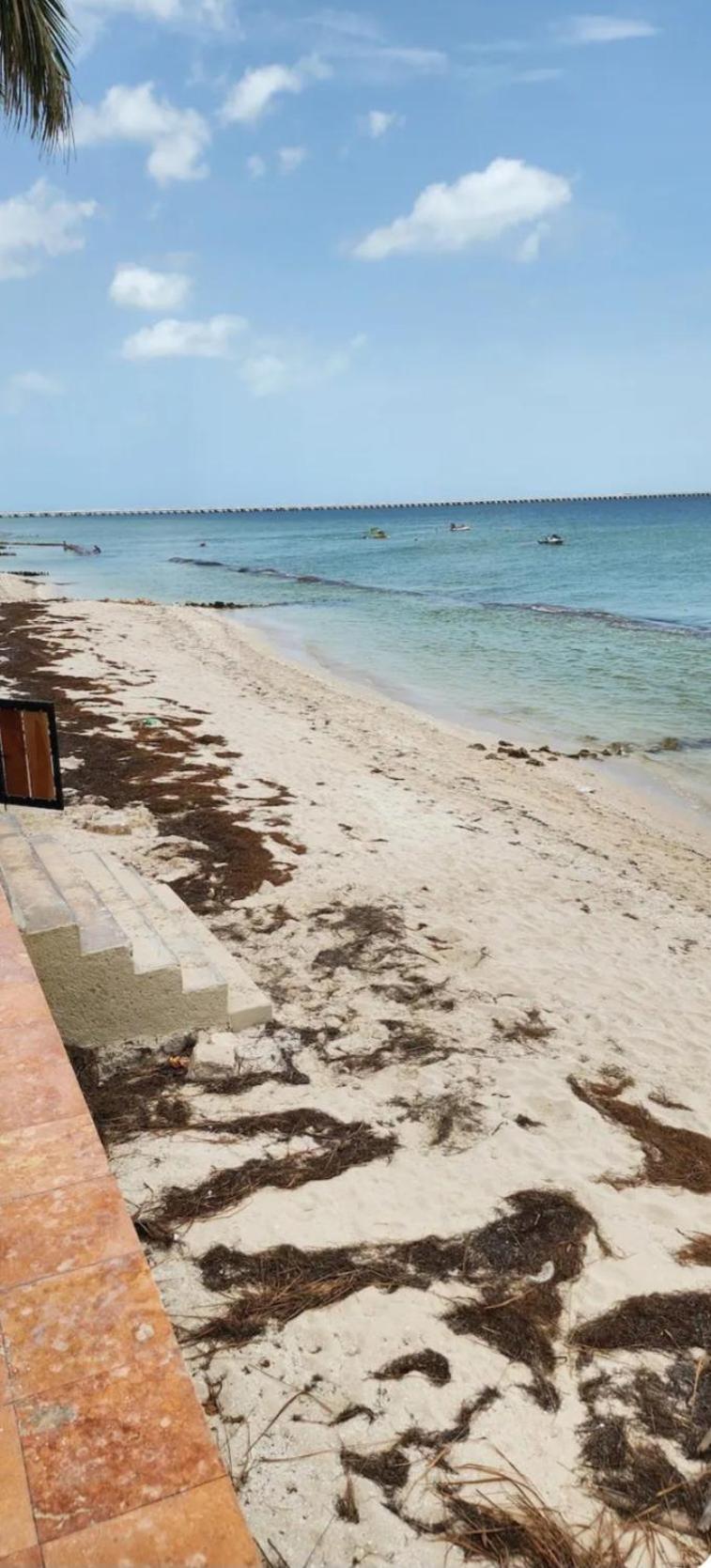Apartment Orca Progreso (Yucatan)