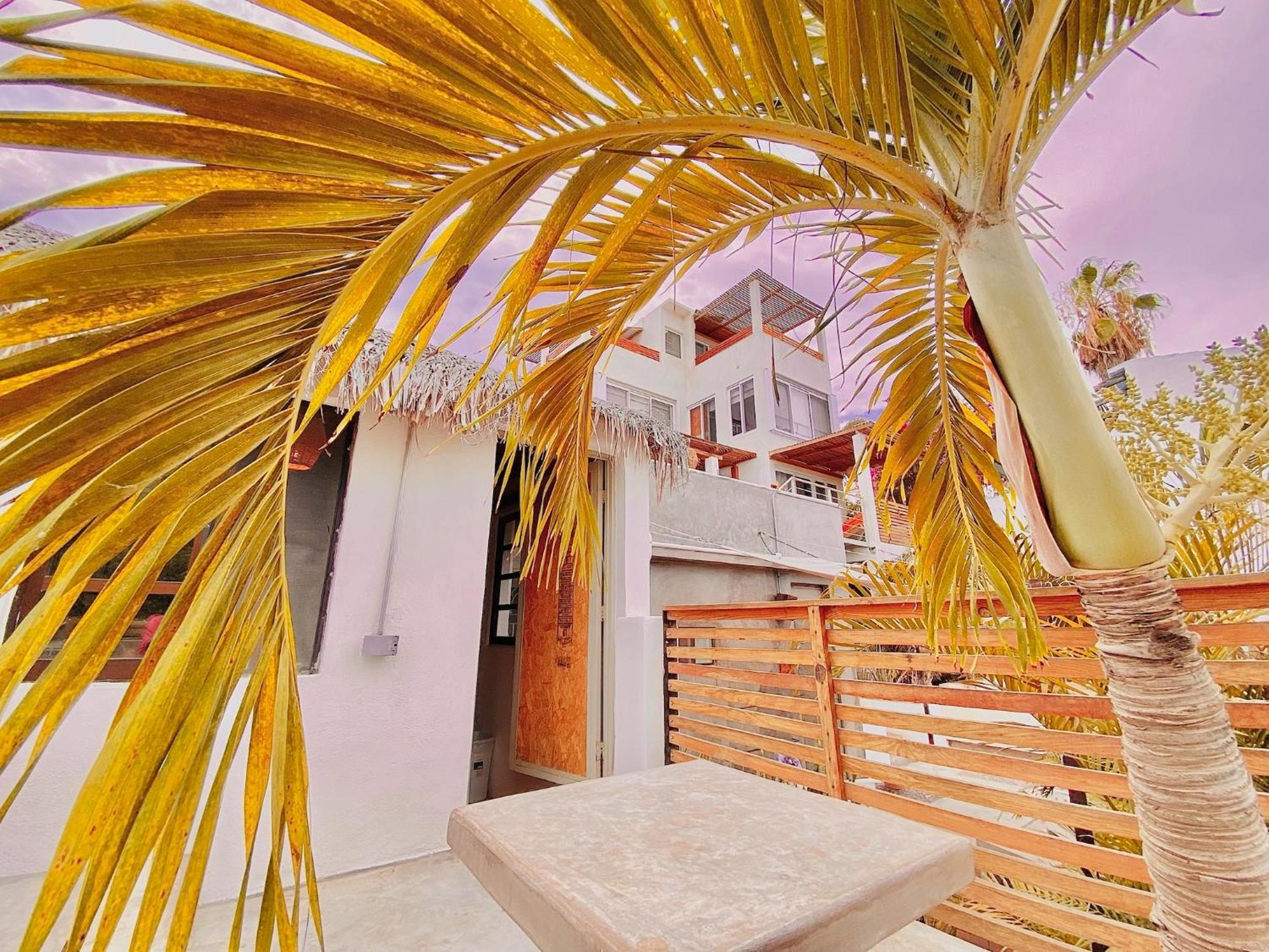 Perro Surfero Hotel 2*