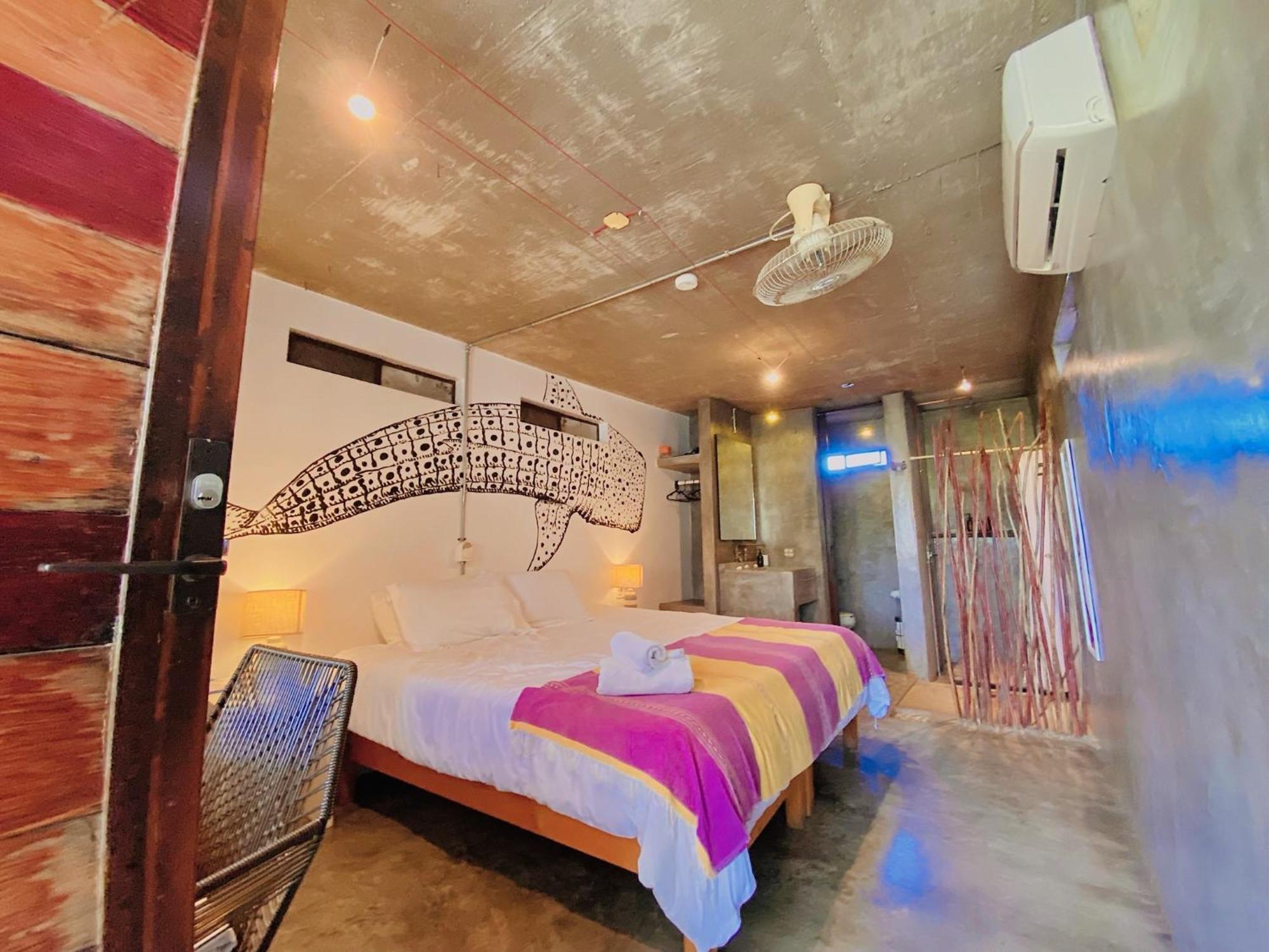 Perro Surfero Hotel Todos Santos