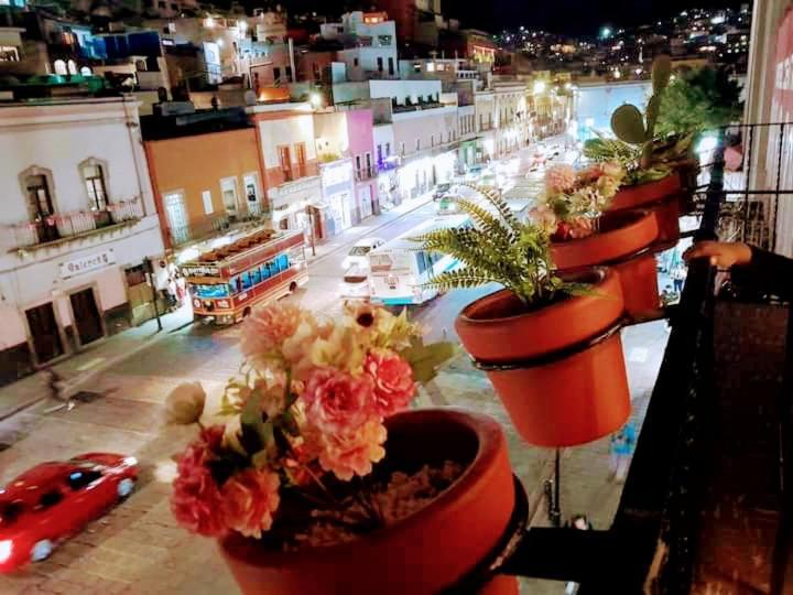 Osaenzz Guanajuato