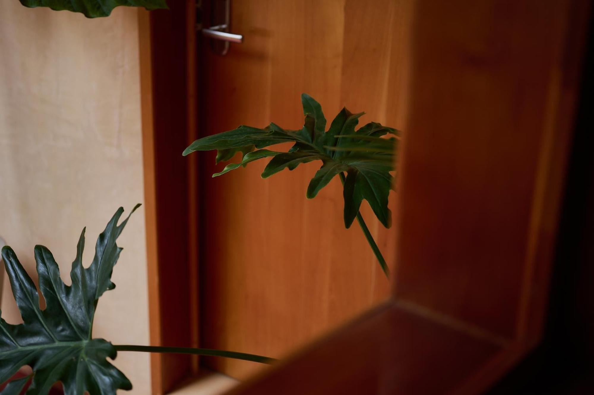 Boutique Casa Bendicion Hotel Oaxaca