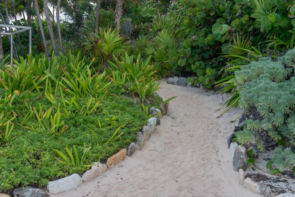 2bd Grand Luxxe Loft Riviera Maya Apartment