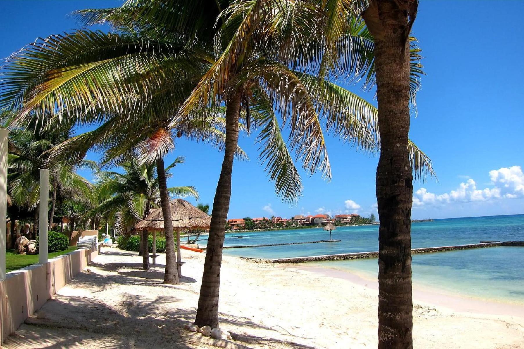 Ground Floor Paradise With Marina View And Pool Paddleboard Included Apartment