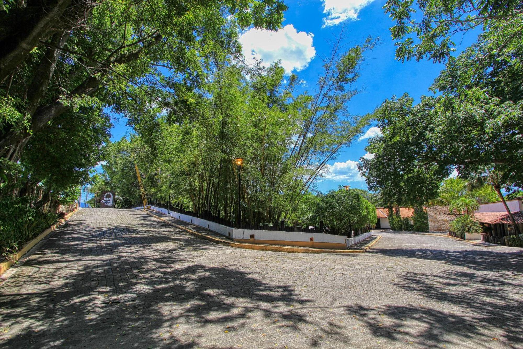 Ciudad Real Palenque