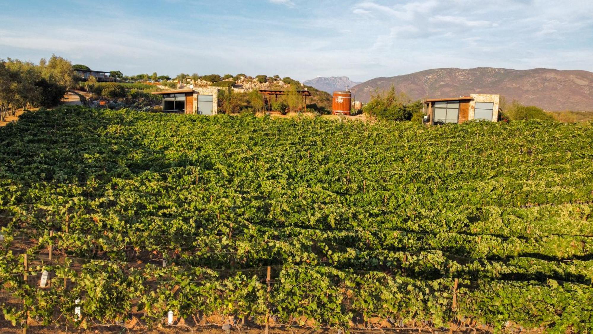 Brisa Del Valle Boutique Valle de Guadalupe