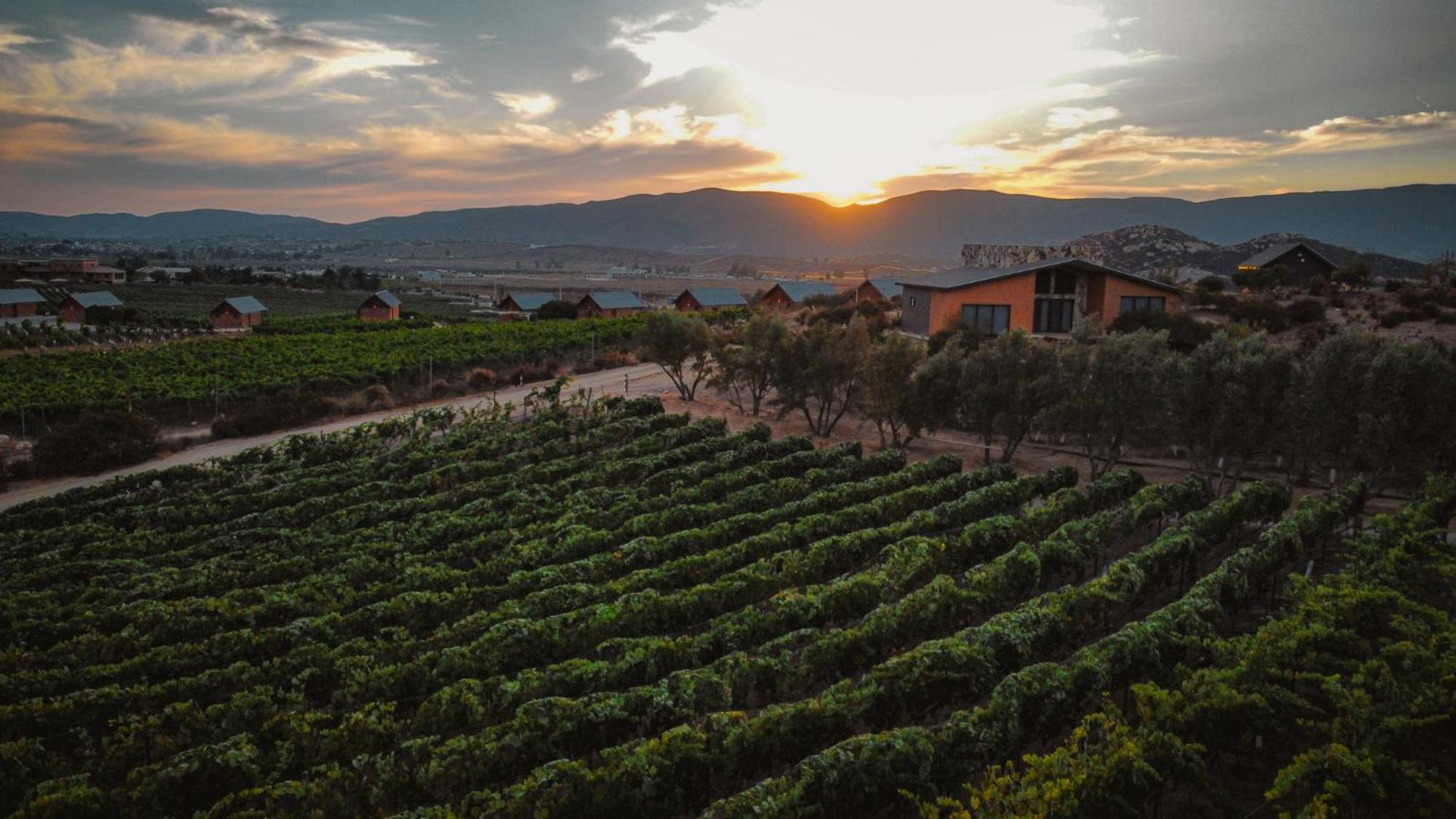 Hotel Brisa Del Valle Boutique Valle de Guadalupe