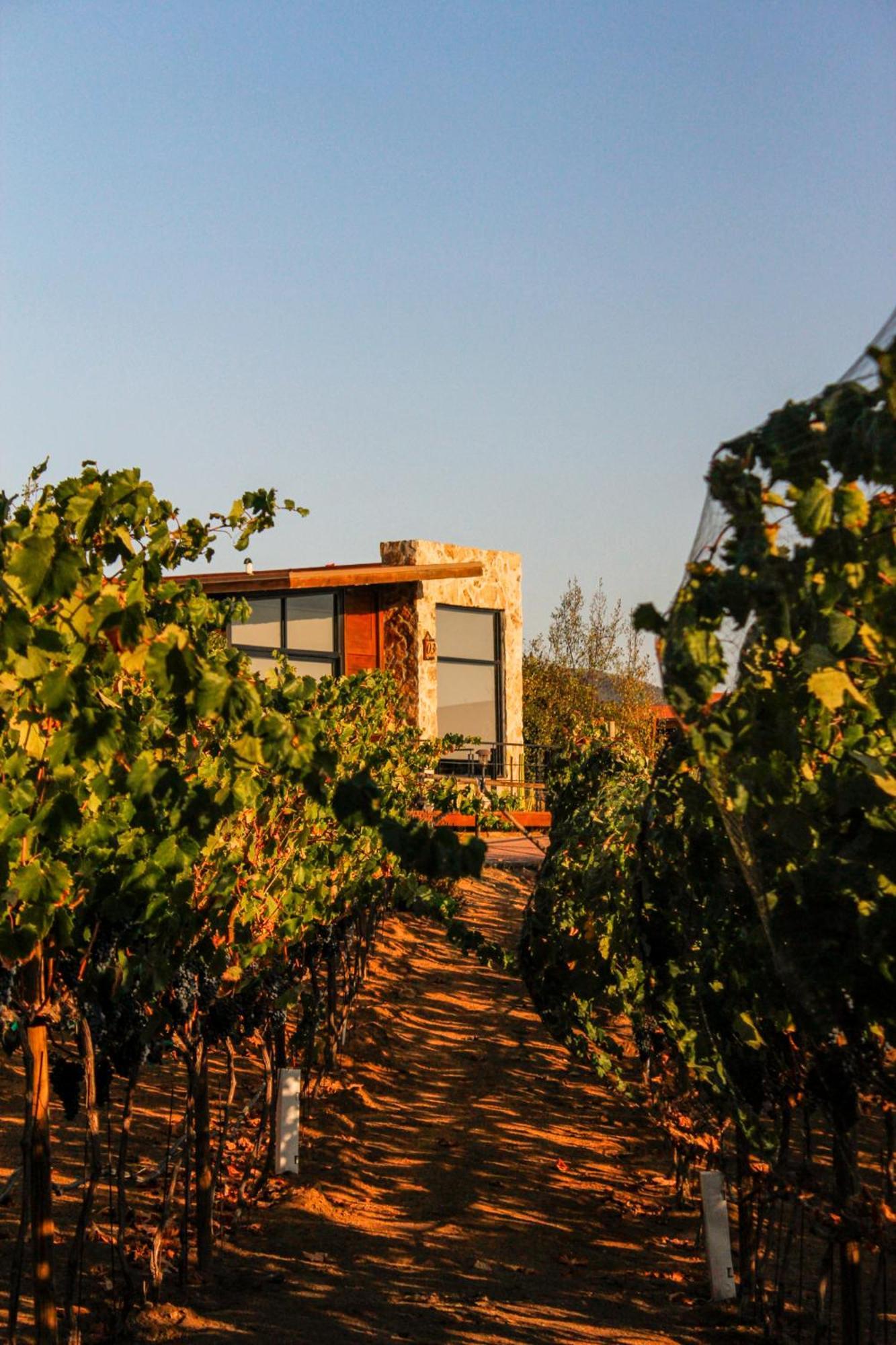 Hotel Brisa Del Valle Boutique