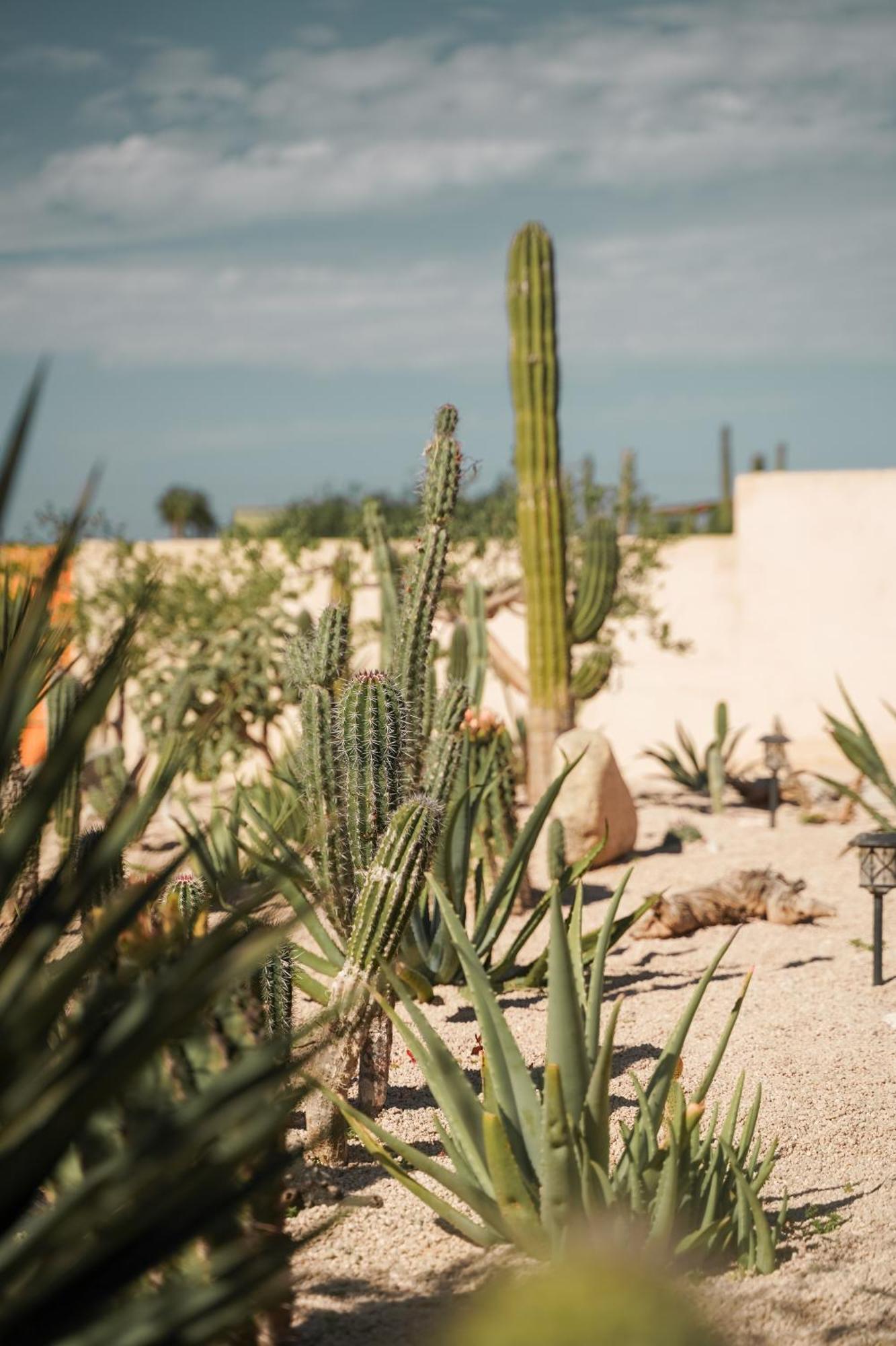 Baja Temple Hotel