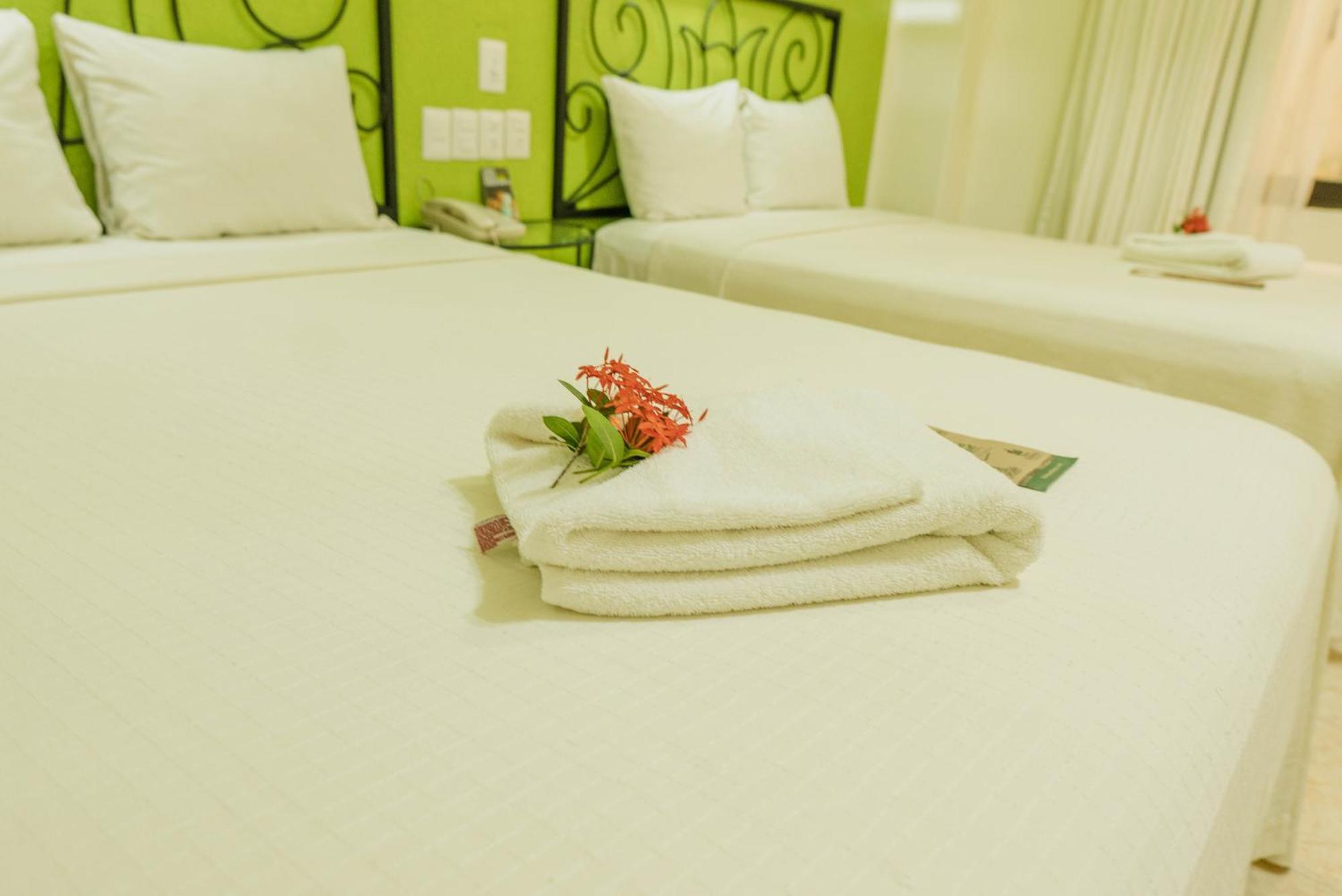 Maya Tulipanes Express 3*